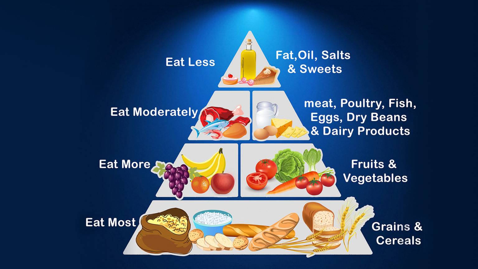 Functions Of Food, Food Groups, Food Pyramid – NutritionFact.in