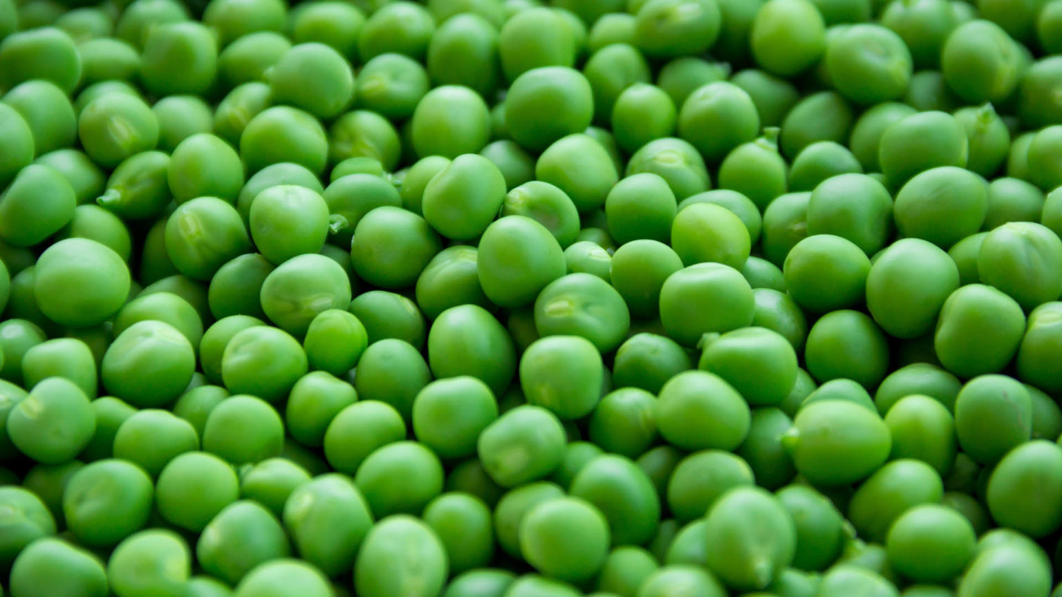Peas Health Benefits NutritionFact.in