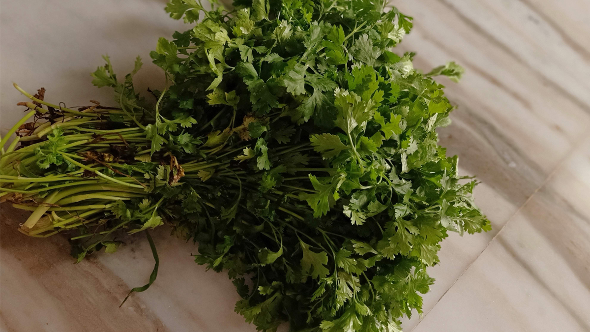 CorianderBenefits, Nutrition And Side Effects Nutritionfact.in