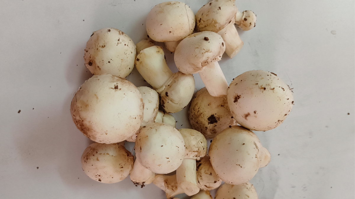 Mushroom Nutritional & Health Benefits Nutritionfact.in