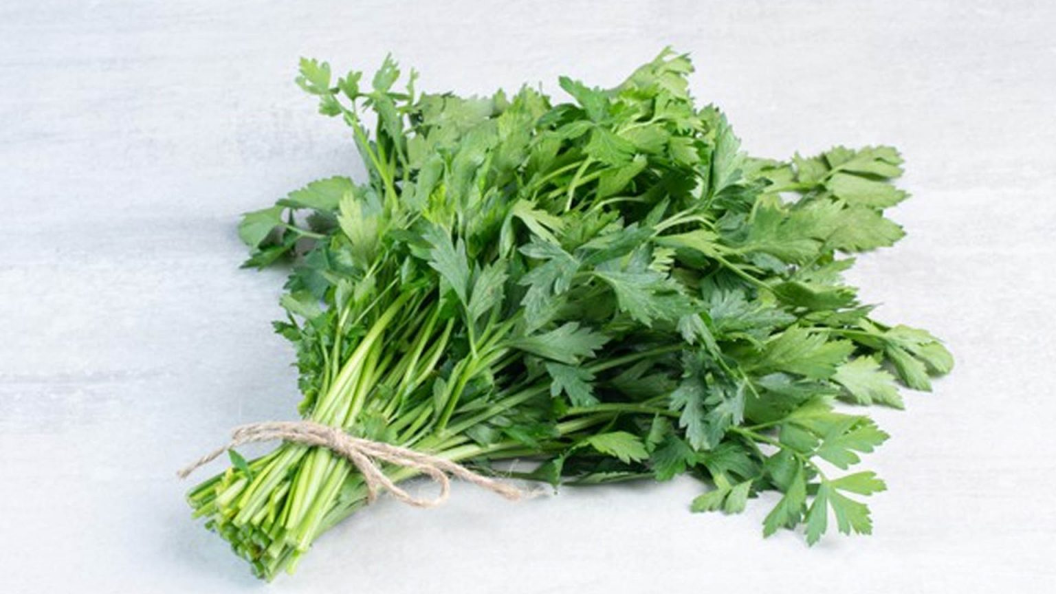 Coriander Health Benefits And Nutritional Facts NutritionFact.in