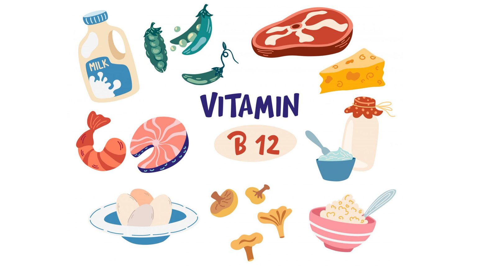What Are The Foods Rich In Vitamin B12? NutritionFact.in
