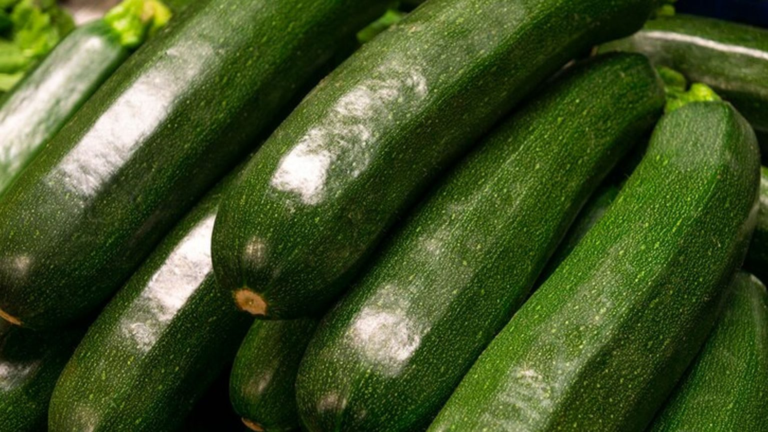 Zucchini Nutrition, Health Benefits and Ways to Eat NutritionFact.in