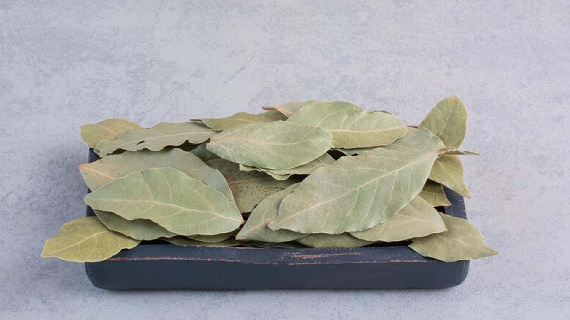6 Health Benefits and Nutritional Values of Bay Leaves