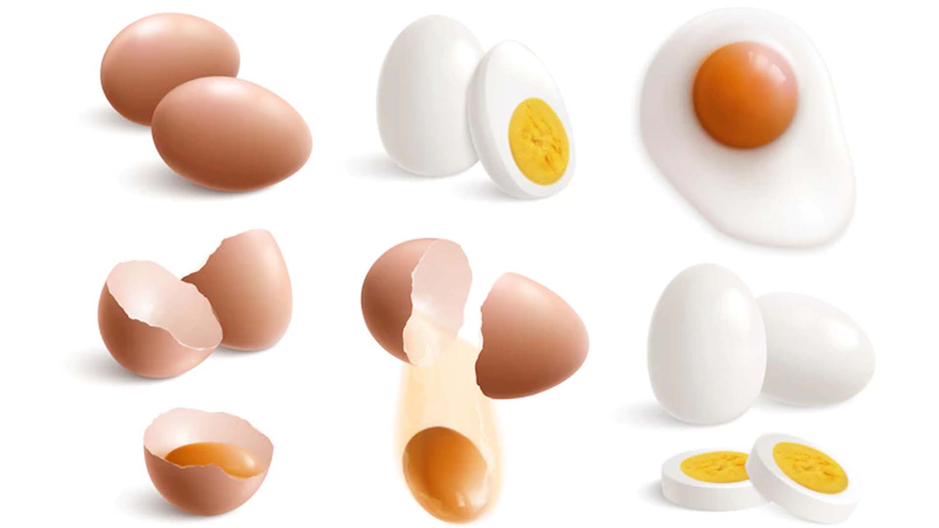 Nutritional Values of Raw Egg, Egg White, Egg Yolk and Boiled Egg