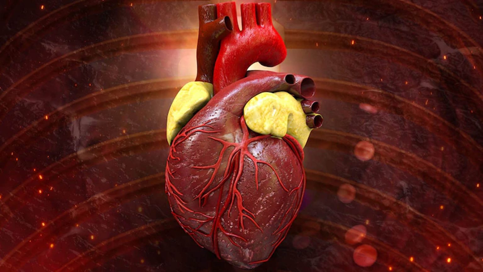 Arrhythmia Types, Symptoms, Causes and Risk Factors NutritionFact.in