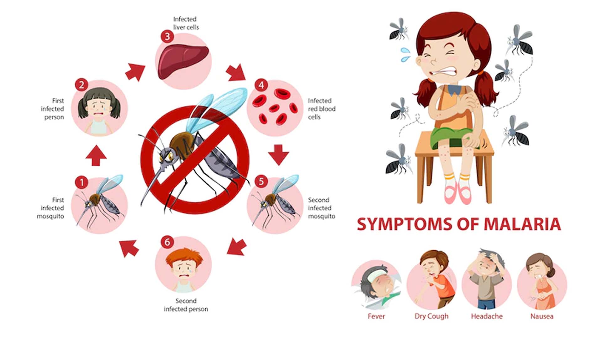 Malaria: Symptoms, Causes, Diagnosis, Treatment, Prevention and Diet