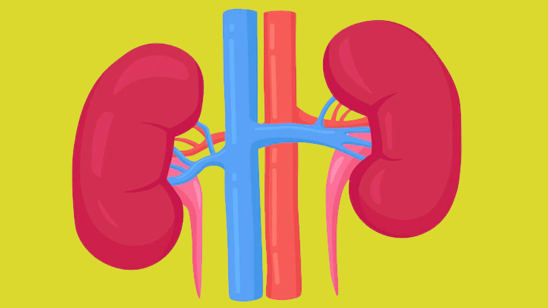 Kidney Disease: Symptoms, Causes and Treatment