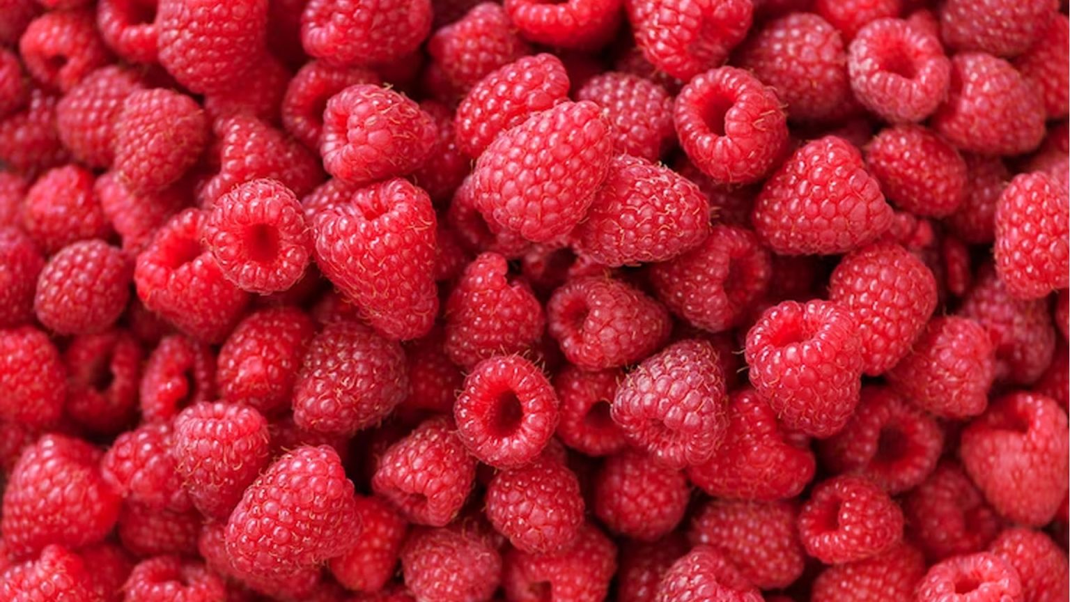 Raspberries Health Benefits and Nutrition NutritionFact.in