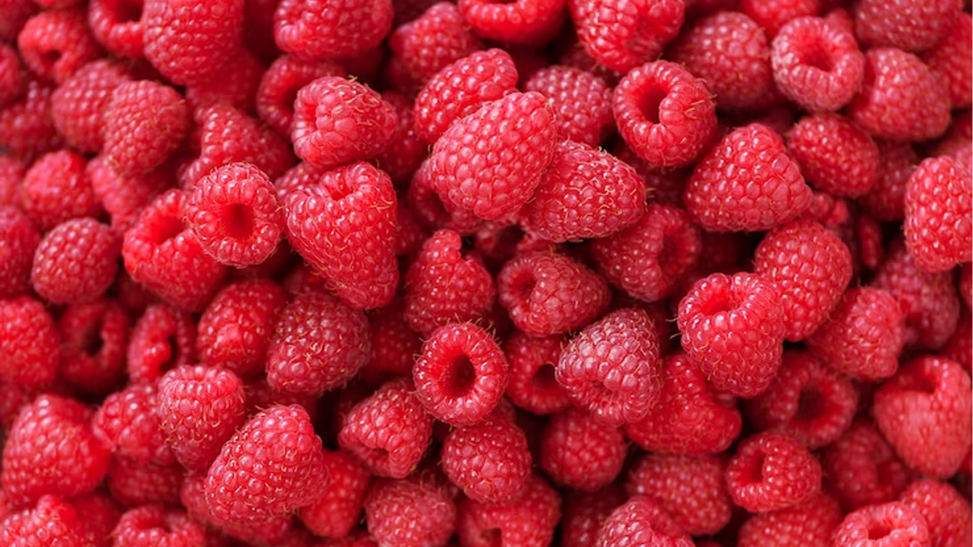 Raspberries: Health Benefits and Nutrition