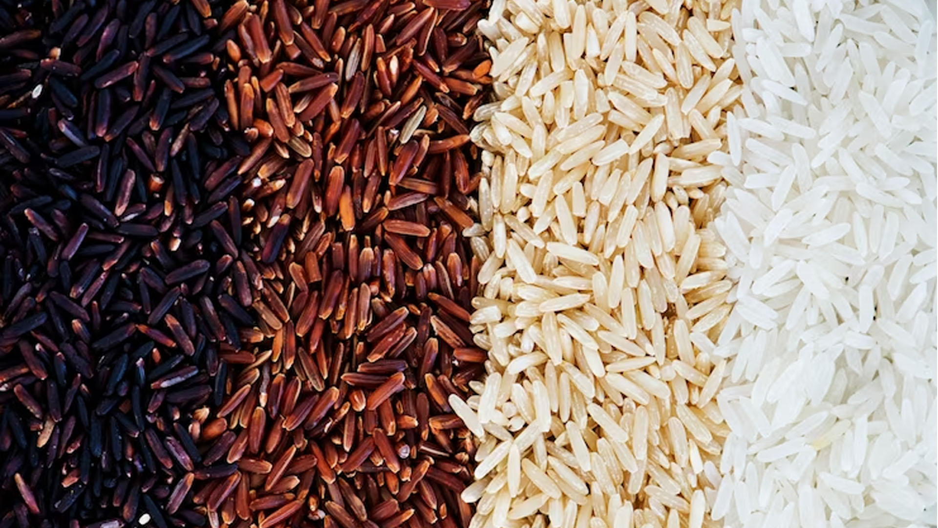 Various Types of Rice