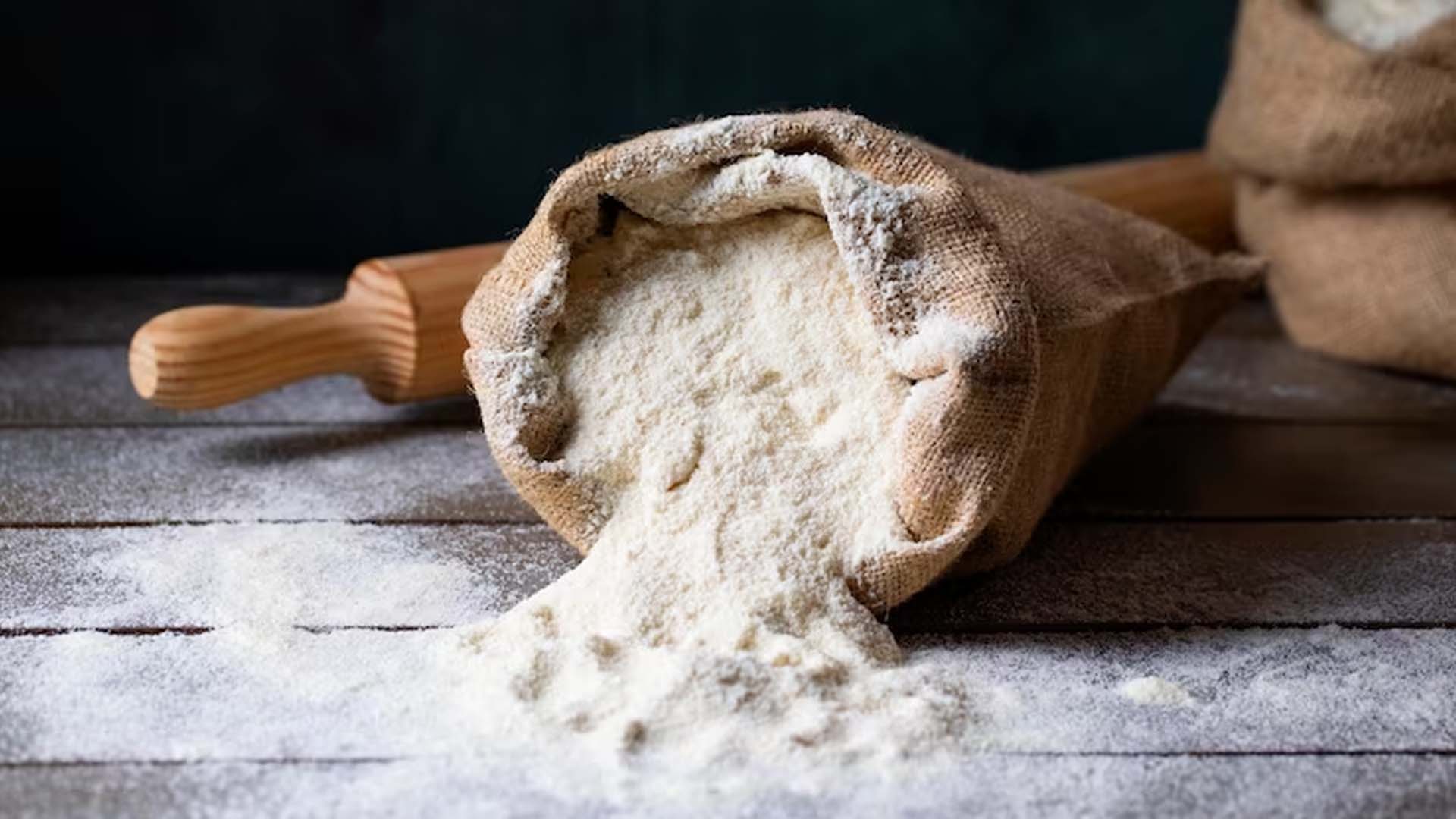 All purpose wheat flour