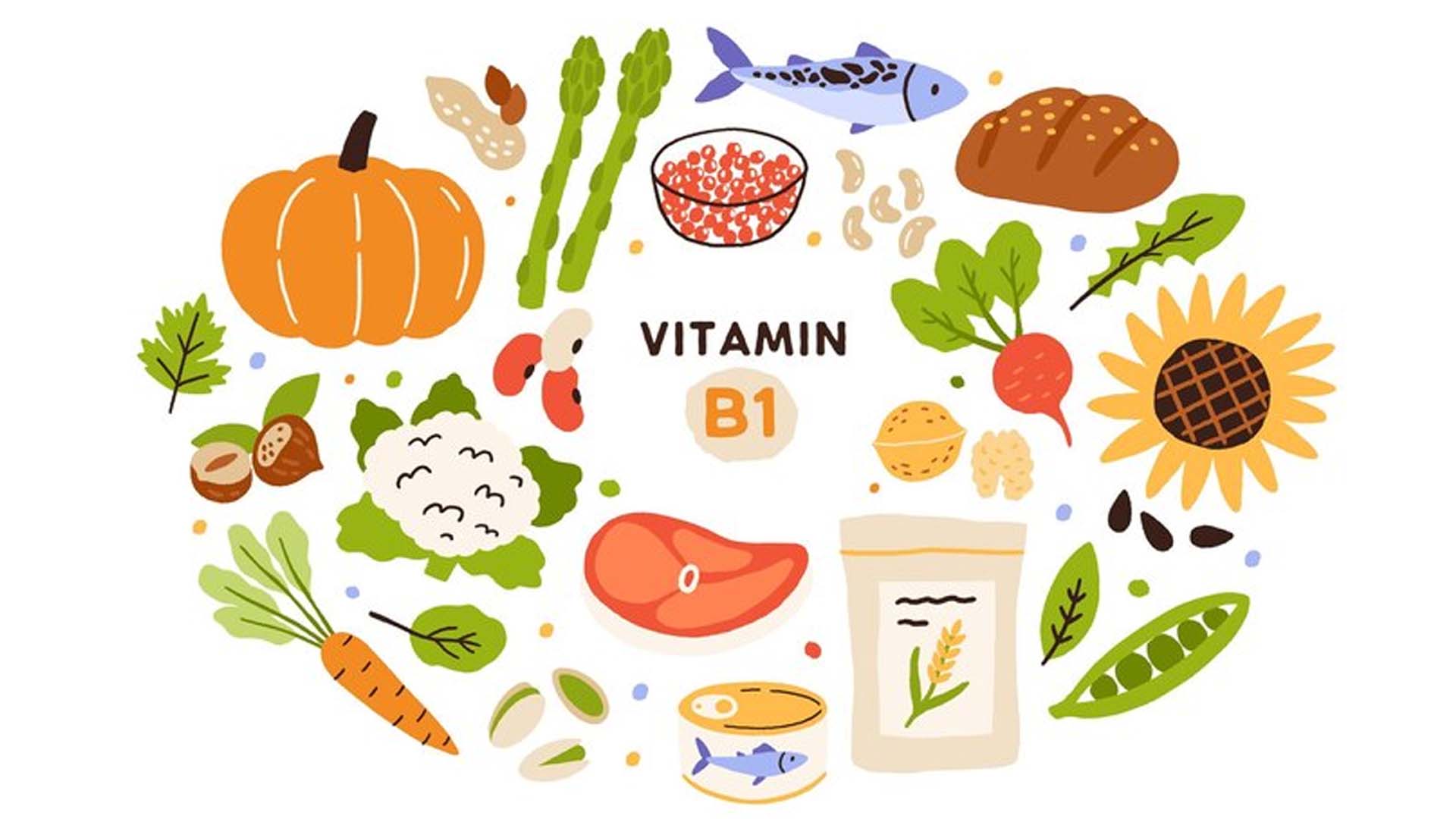What are the Foods sources of Vitamin b1 (Thiamine)?