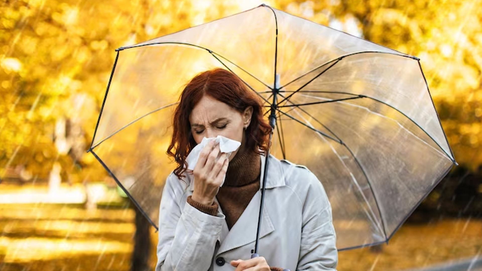8 Most Common Monsoon or Rainy Season Diseases