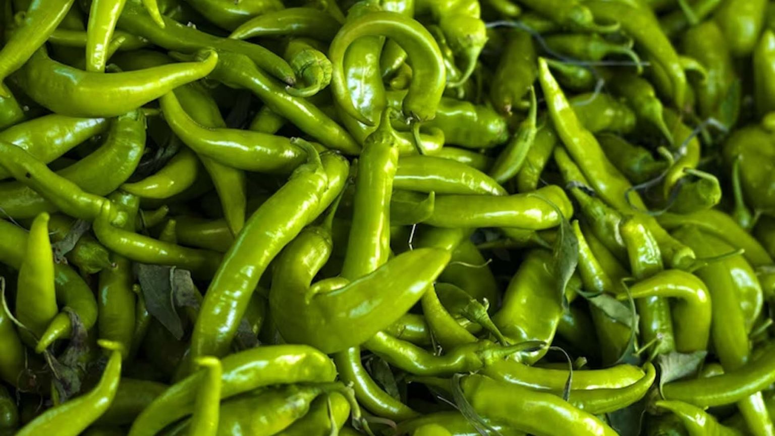 What is Green Chilli Nutritional Value? NutritionFact.in