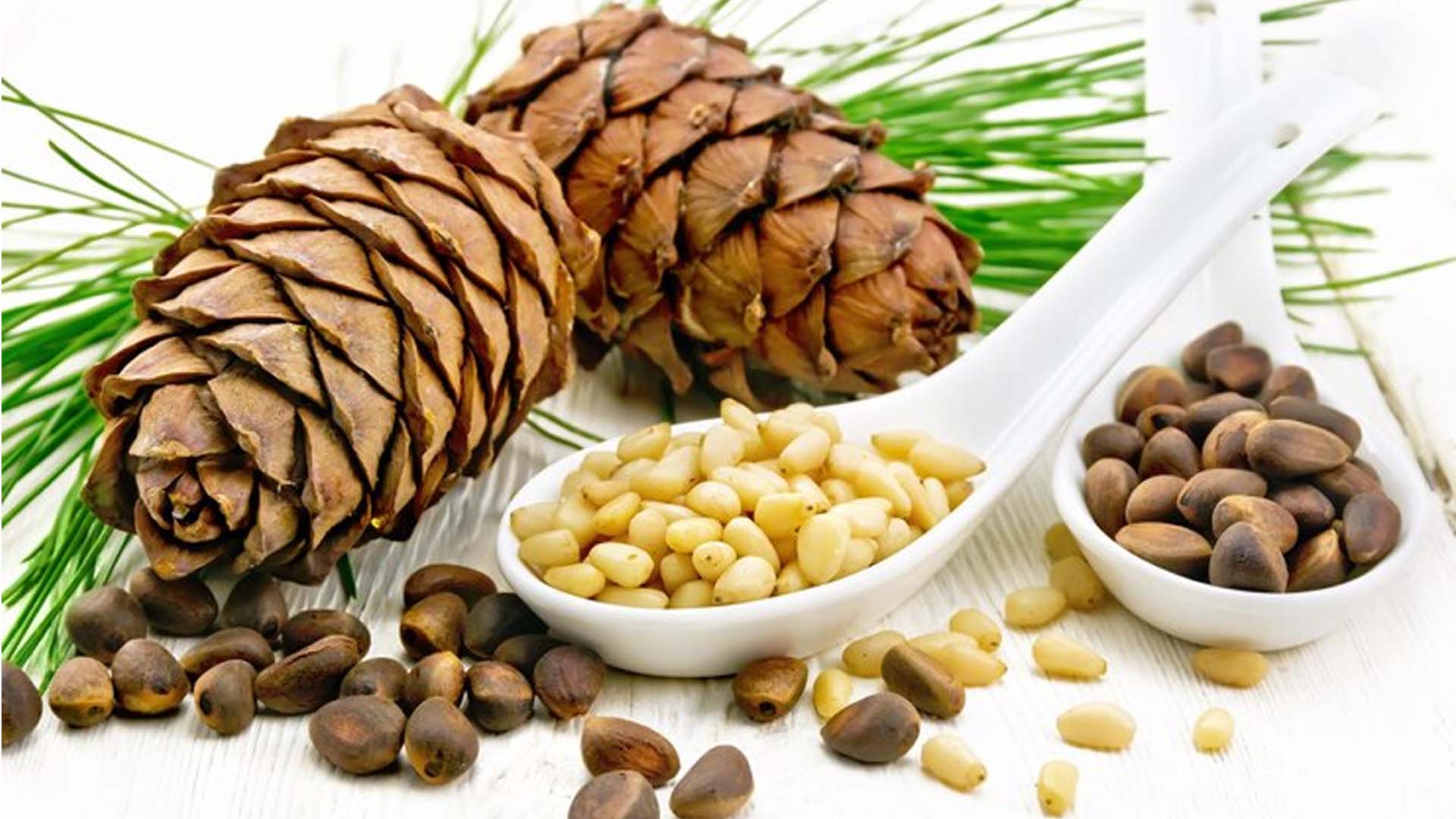 Health Benefits and Nutrition of Pine nuts