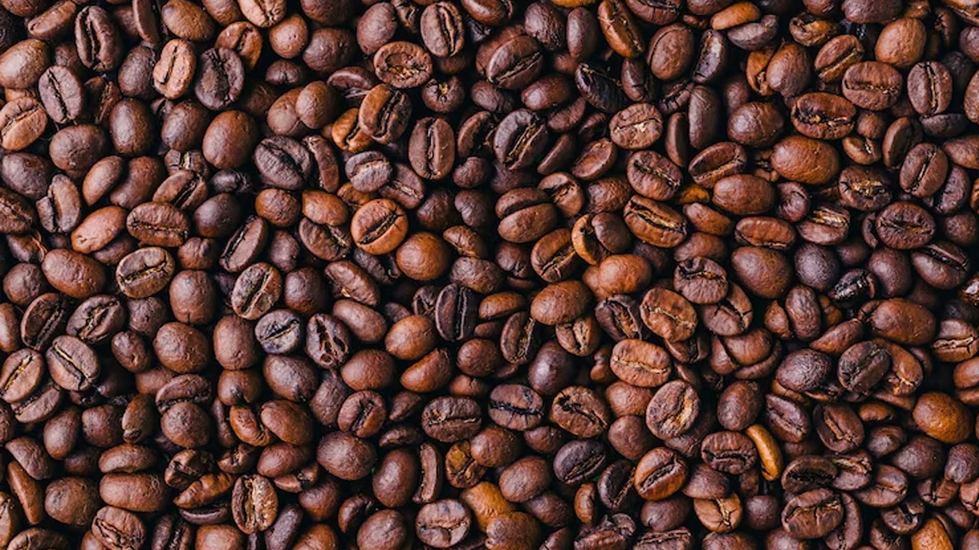 Can You Eat Coffee Beans and Health Benefits of Eating it?