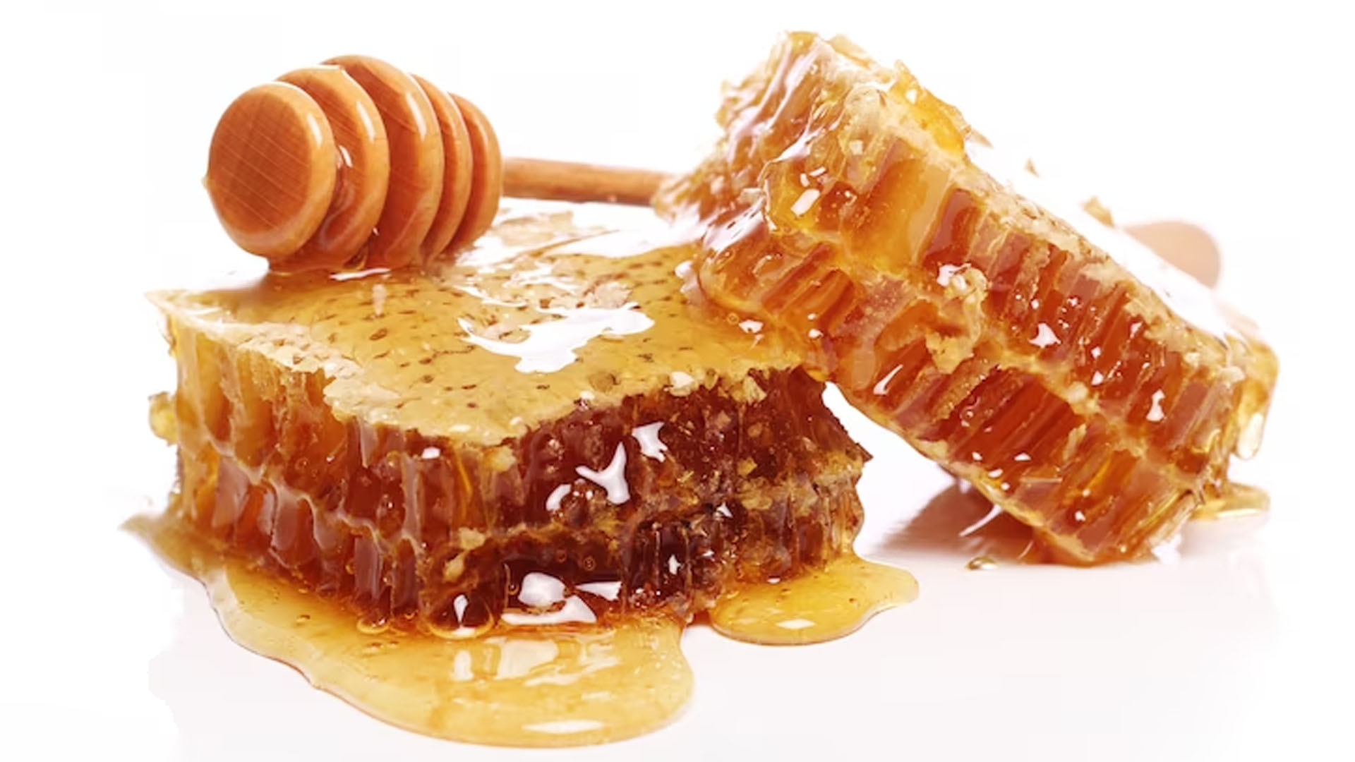 What Are The Health Benefits of Honey Bee?