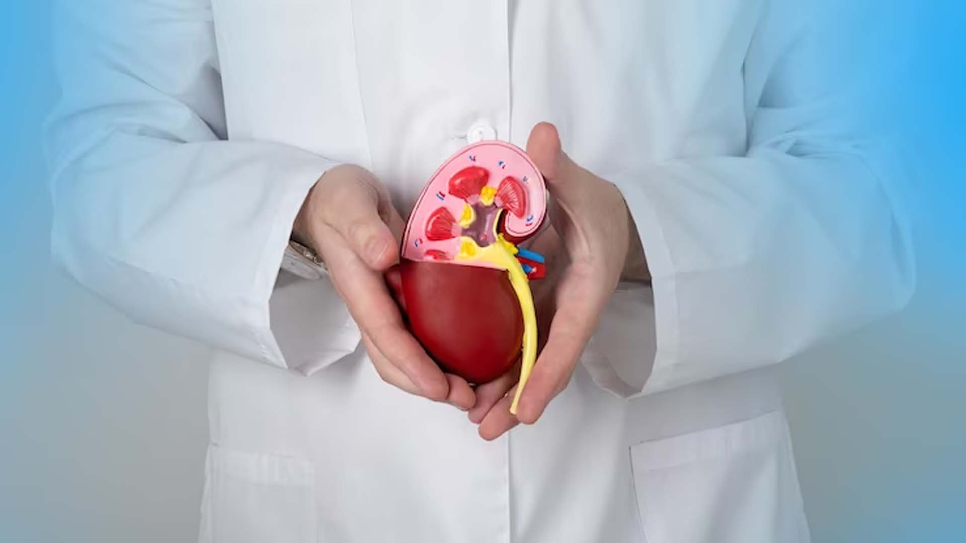 Causes of Kidney Damage