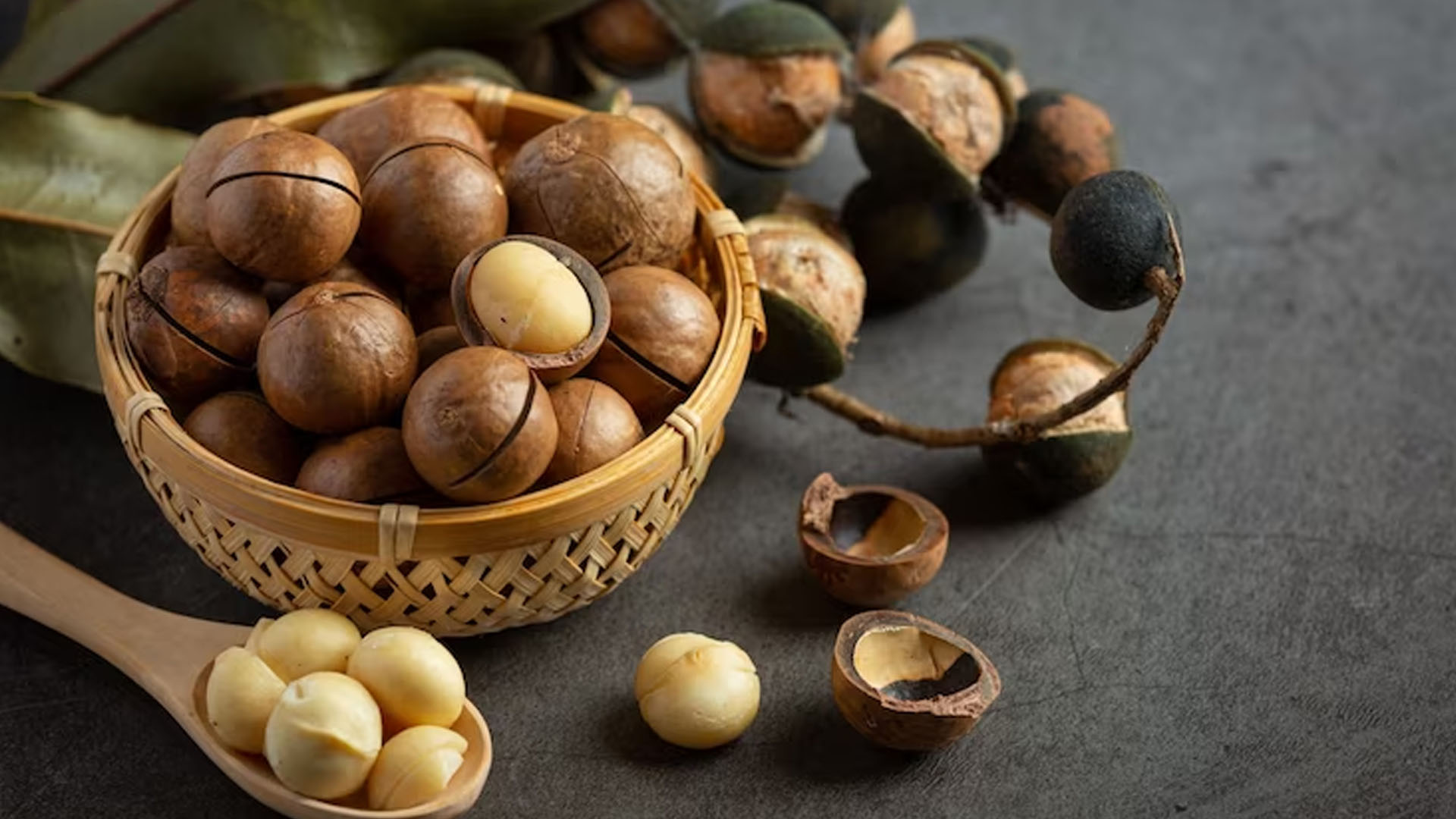 What Are Macadamia Nuts Health Benefits?