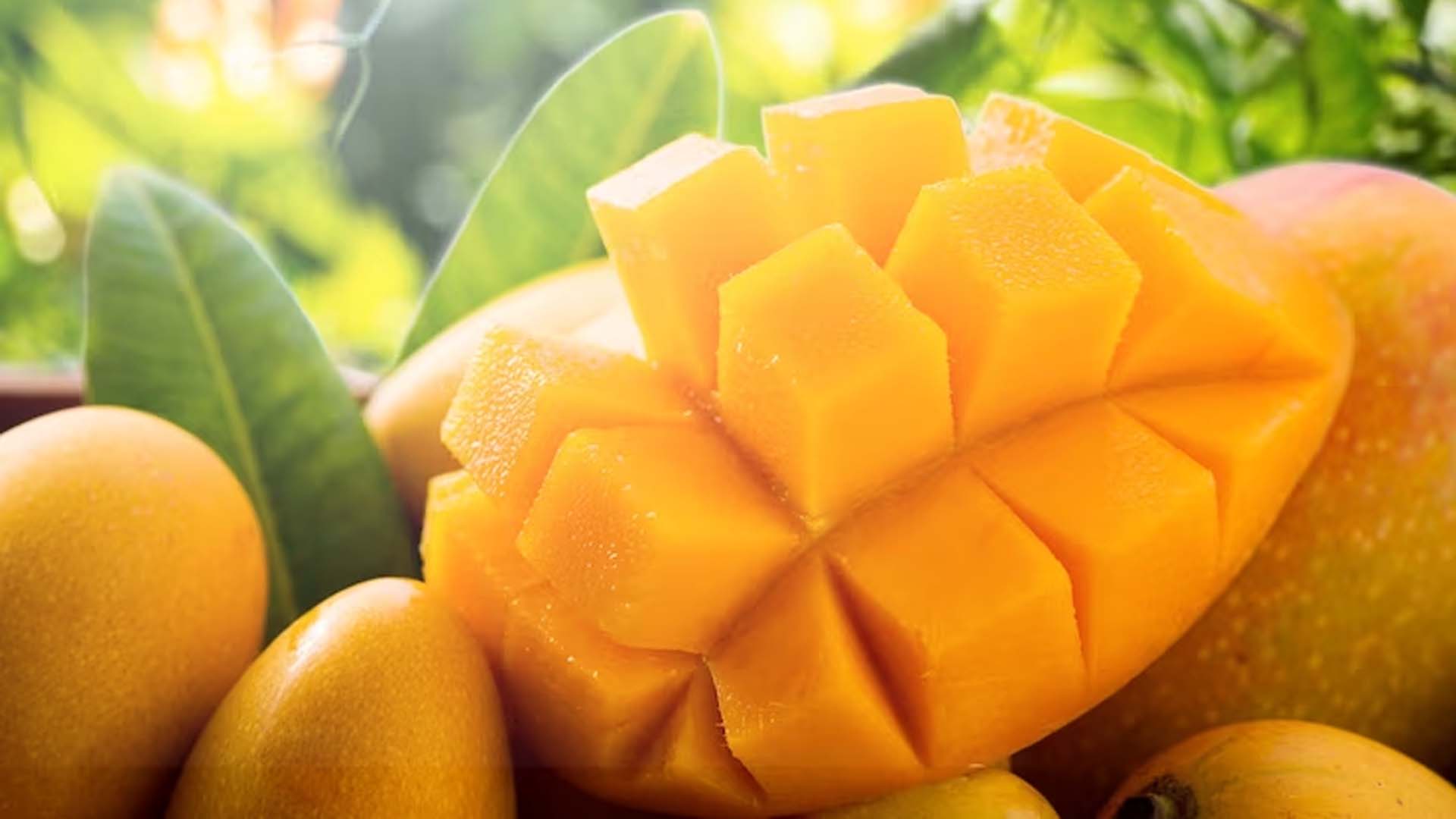 Does Eating Mangoes Cause Pimples?