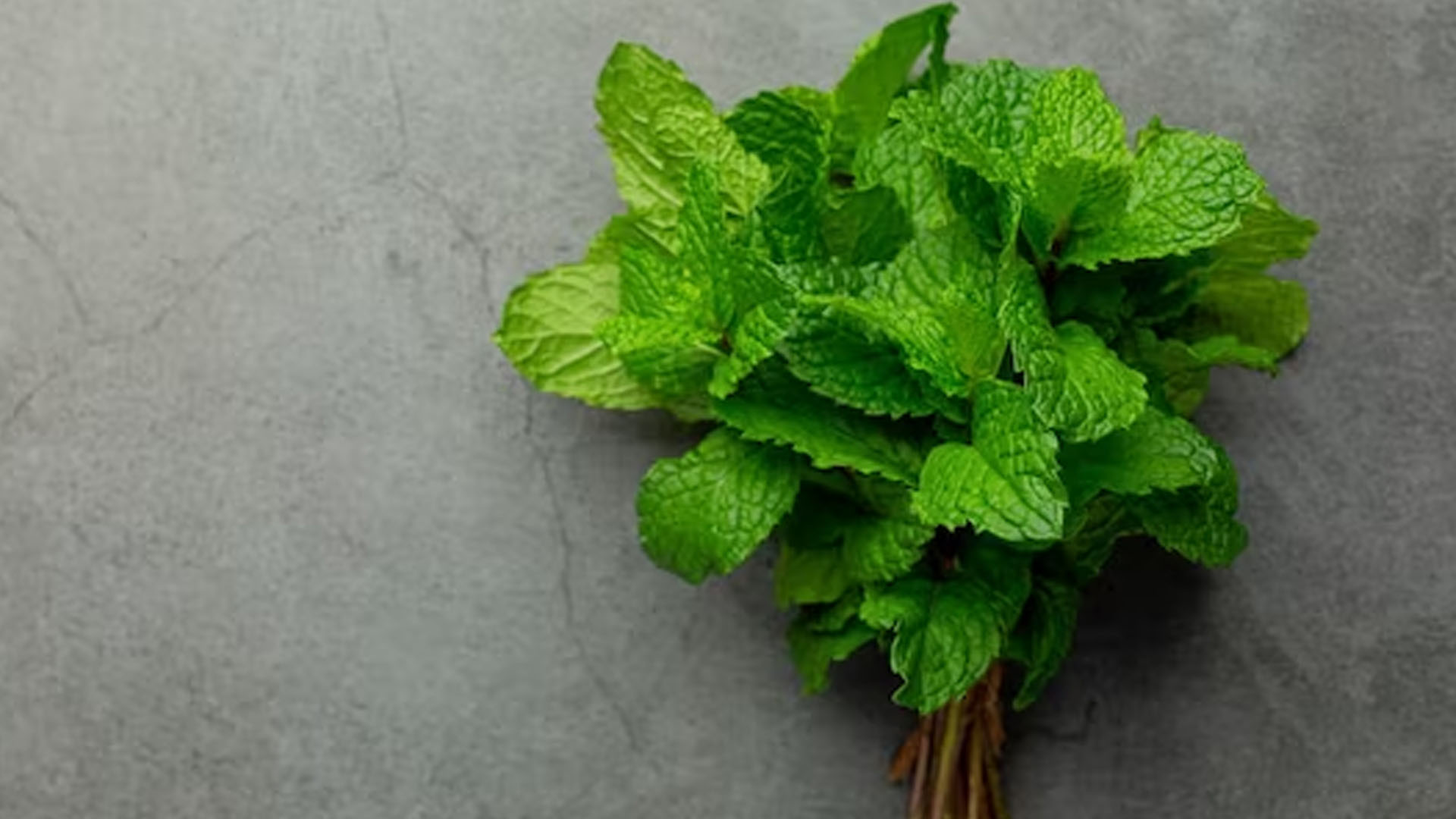 What Are The Health Benefits of Mint Leaf?