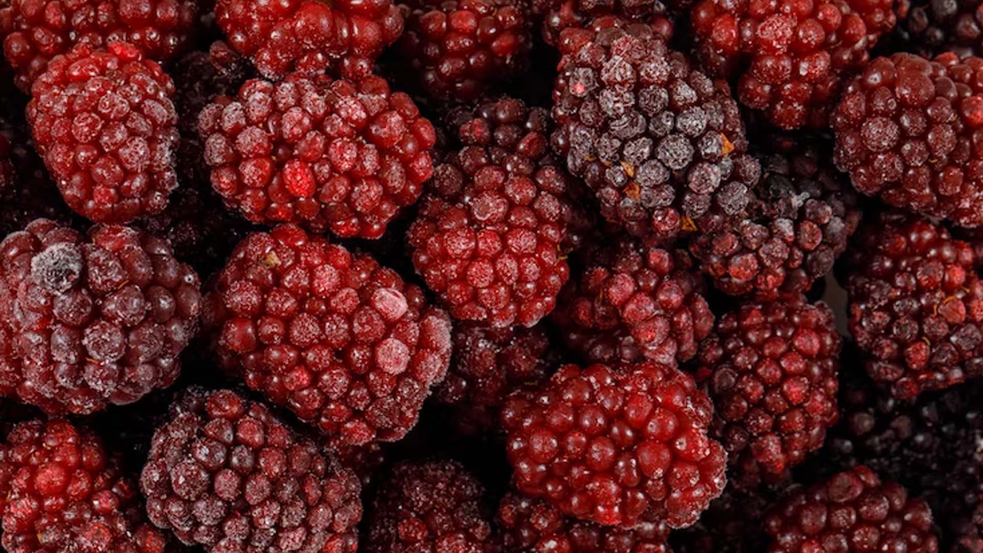 Mulberry Nutrition Facts