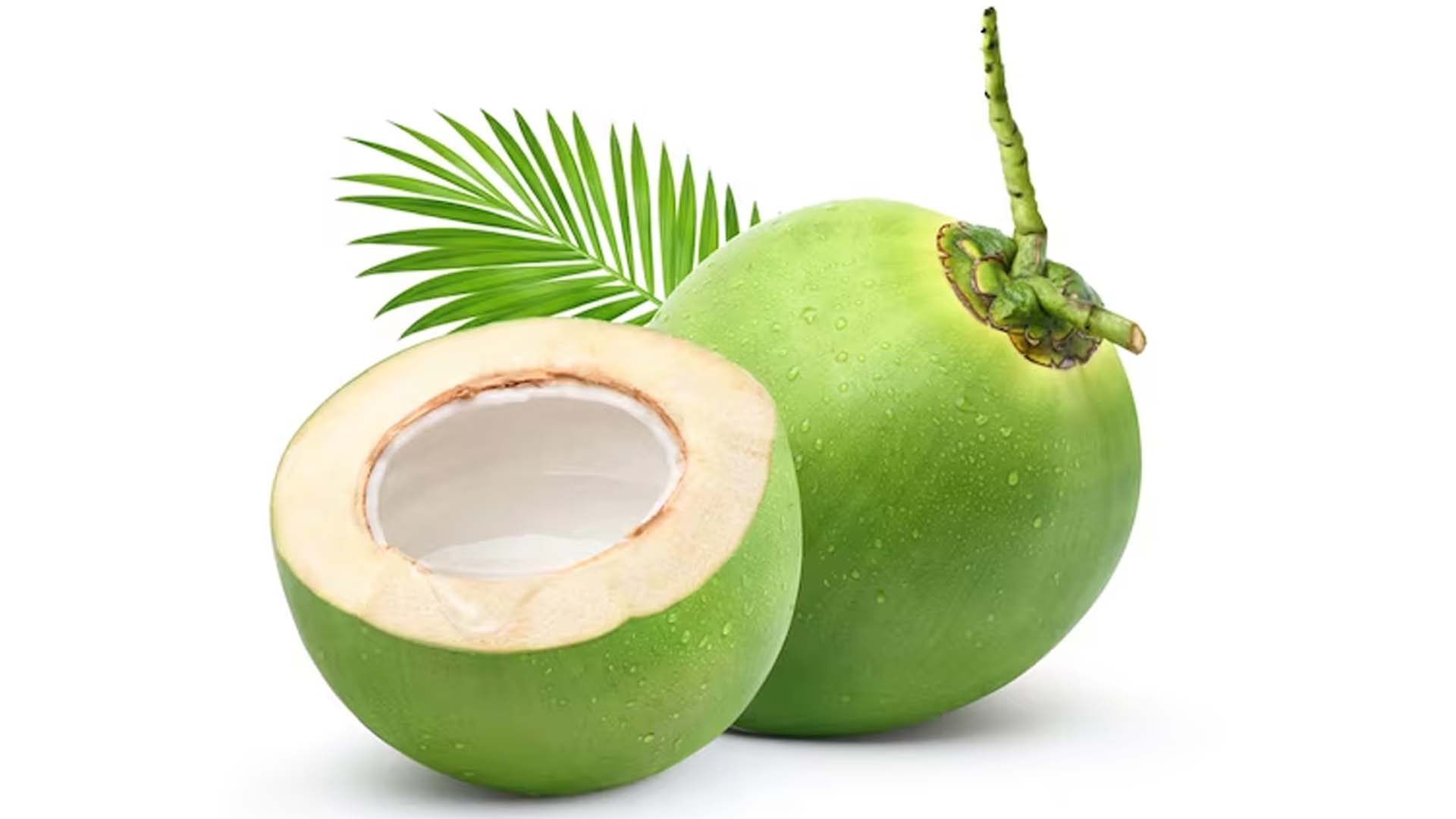 Tender Coconut Nutritional Value