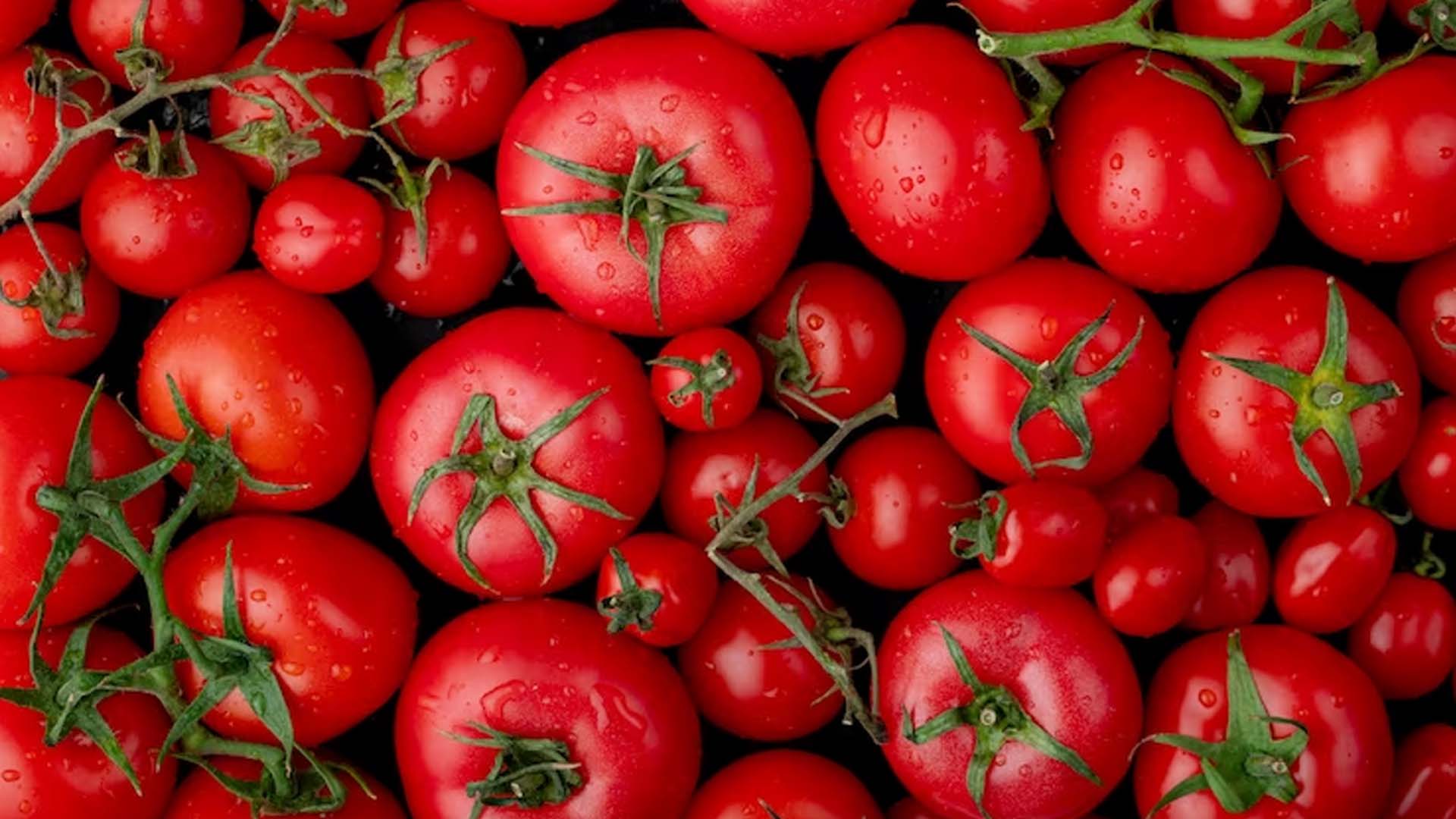 Do Tomatoes Cause Kidney Stones?