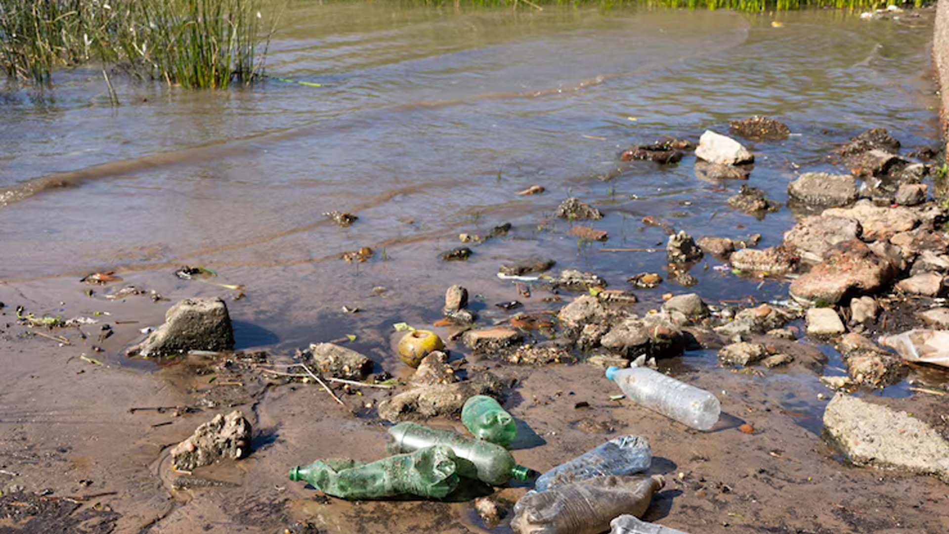Causes of Water Pollution