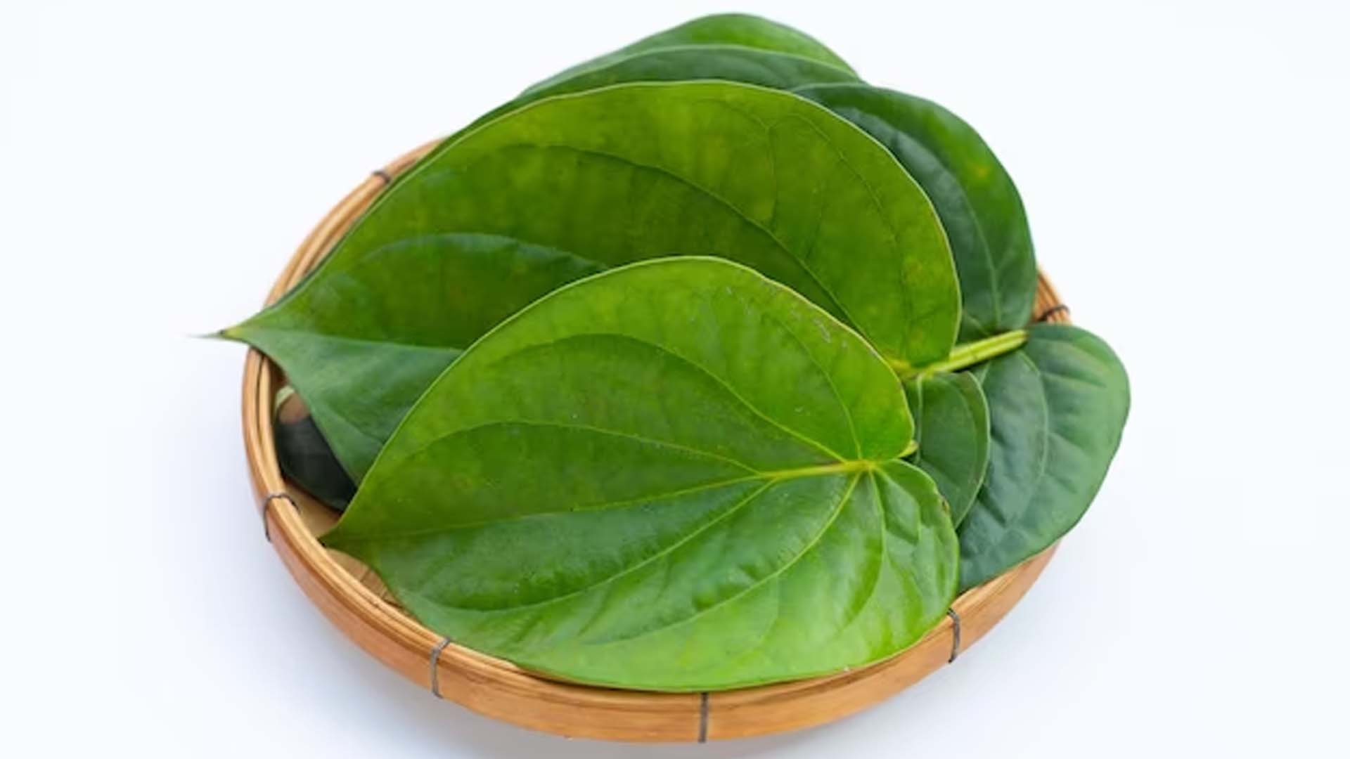 Betel Leaves