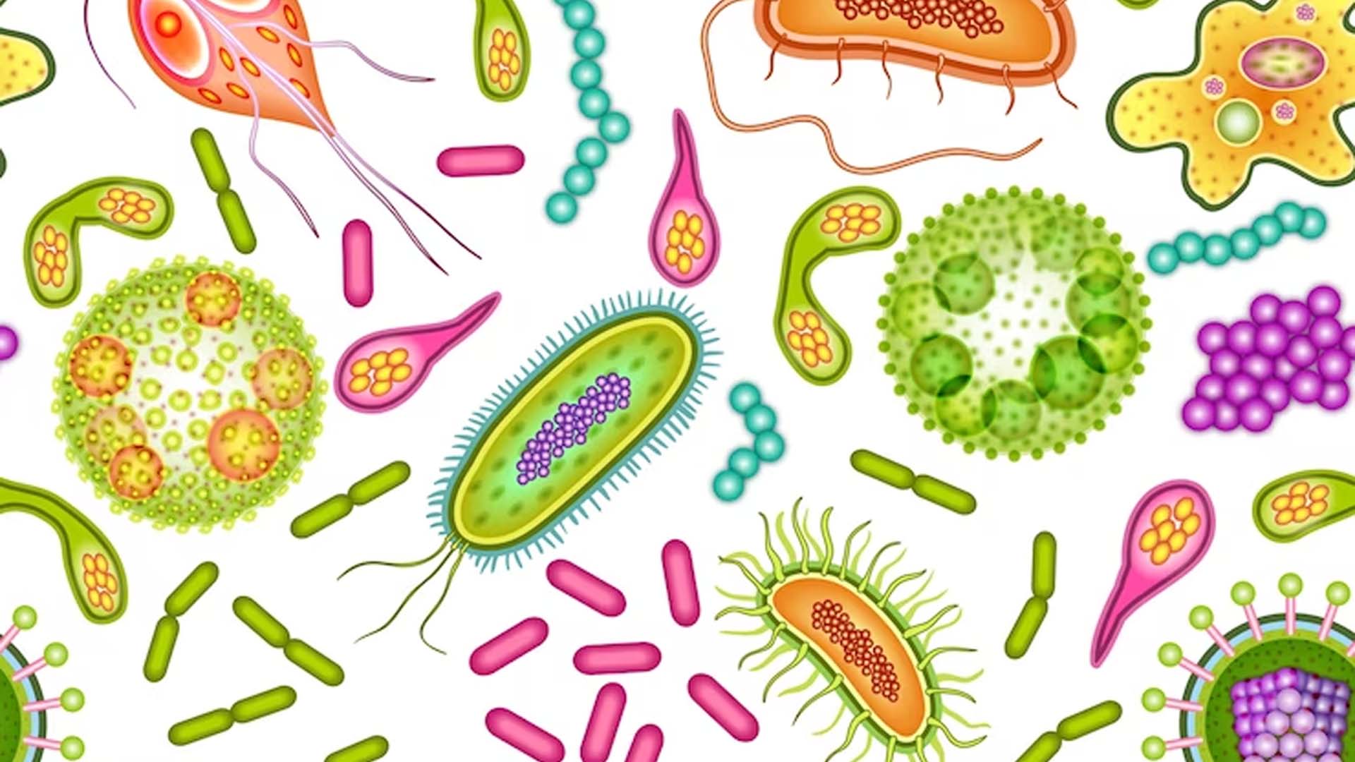 Which Diseases do Microorganisms Cause in Plants and Animals?