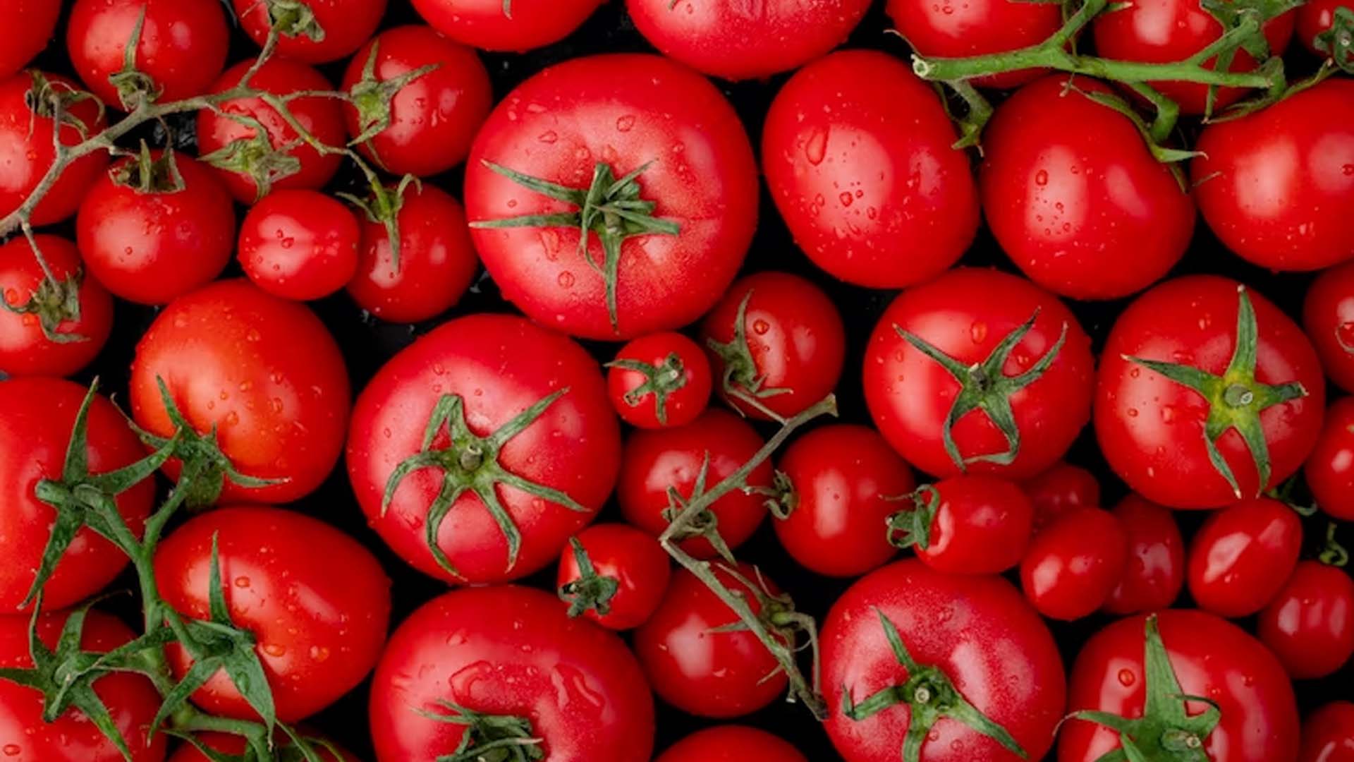 What Causes the Red Color in Tomatoes?