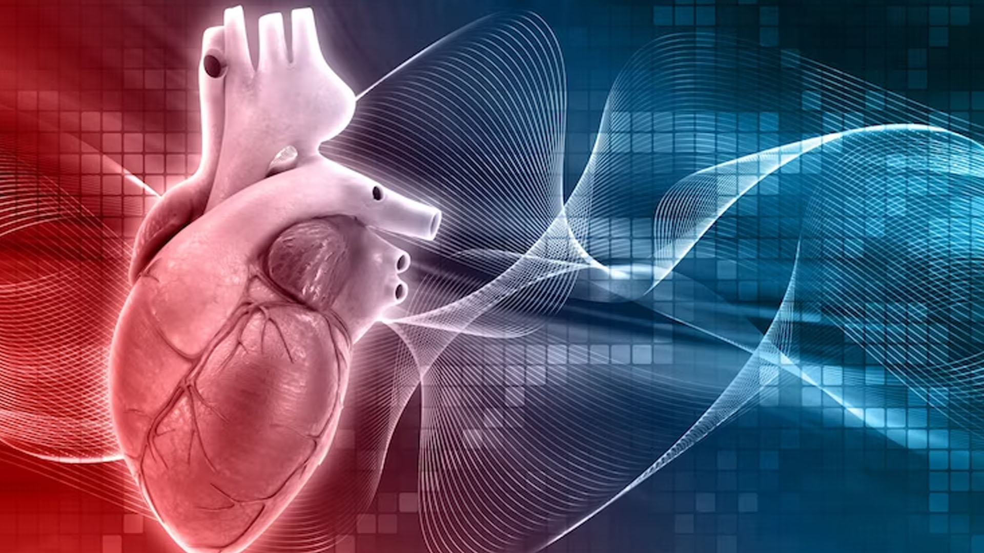 What are the Symptoms of Arrhythmia?