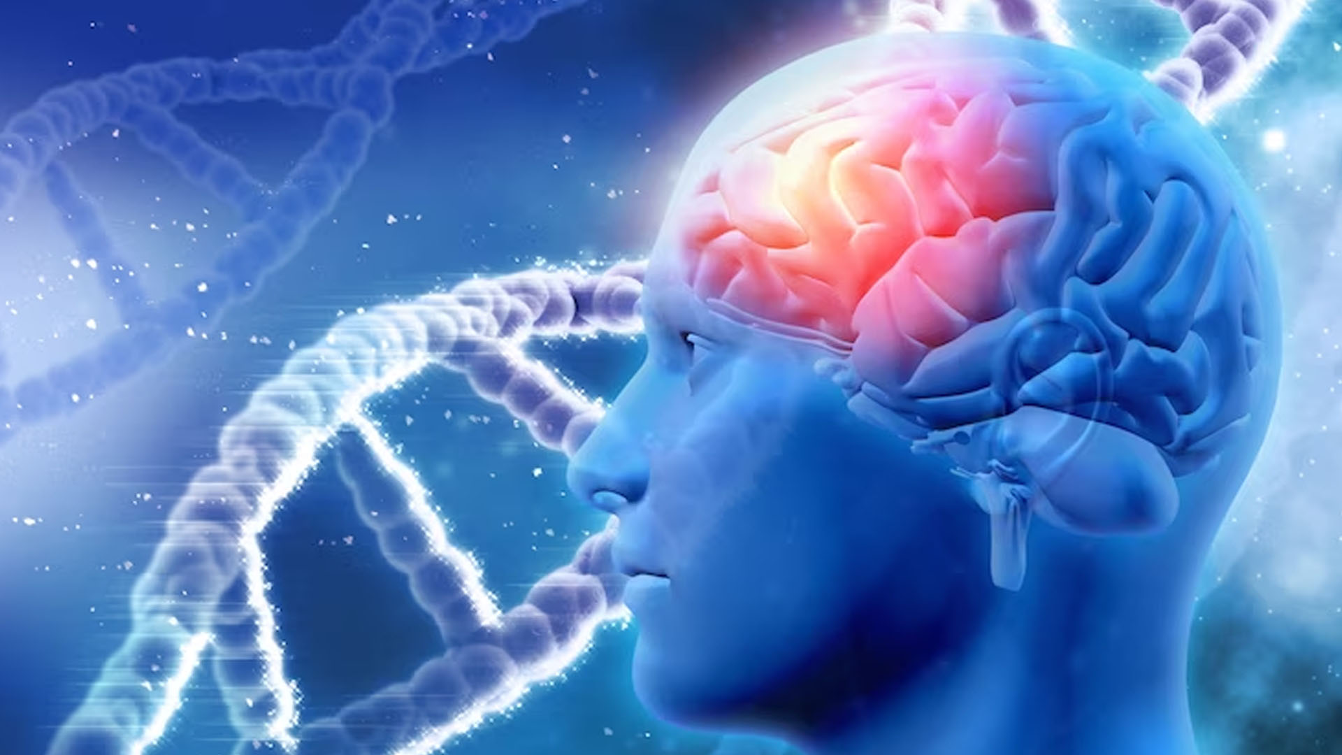 What are the Symptoms of Terminal Brain Cancer?