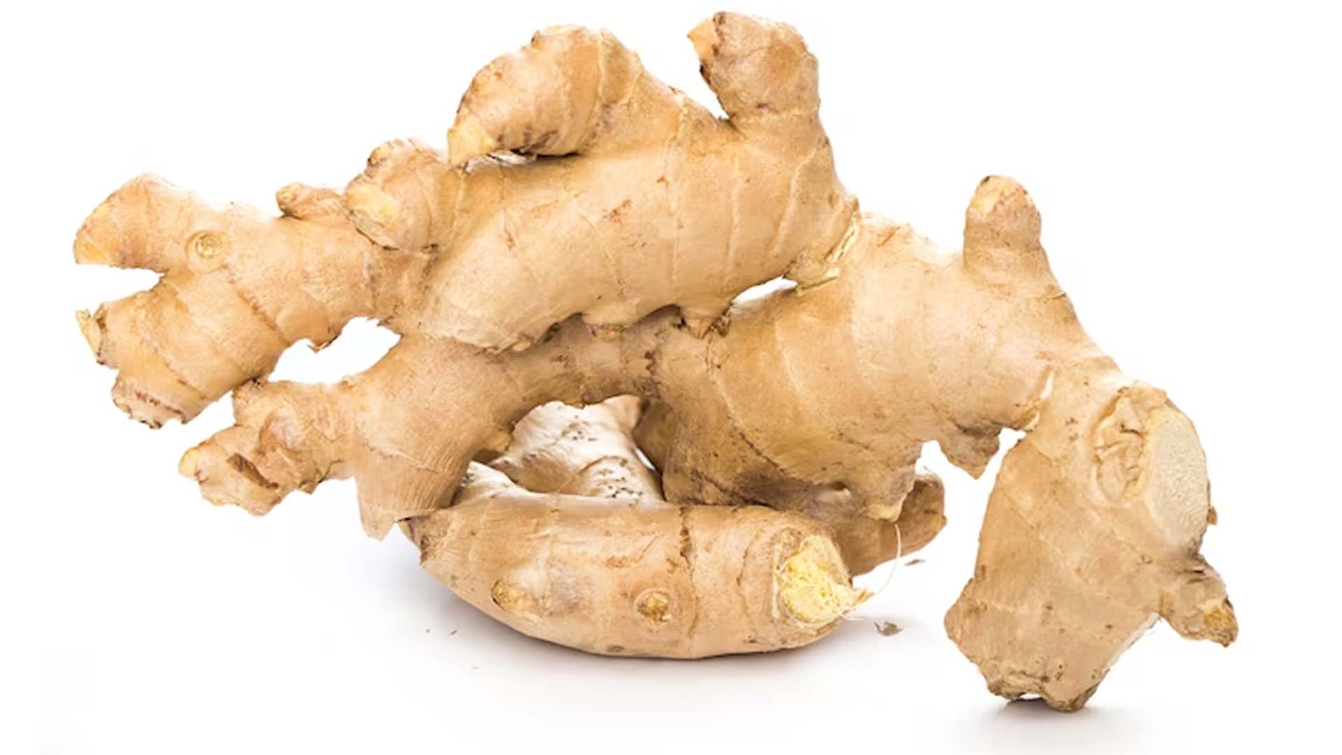 Ginger