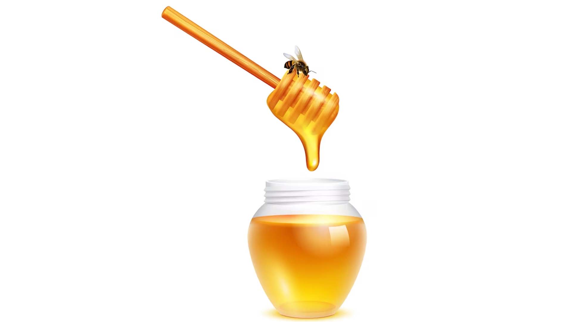Honey dripping from dipper stick