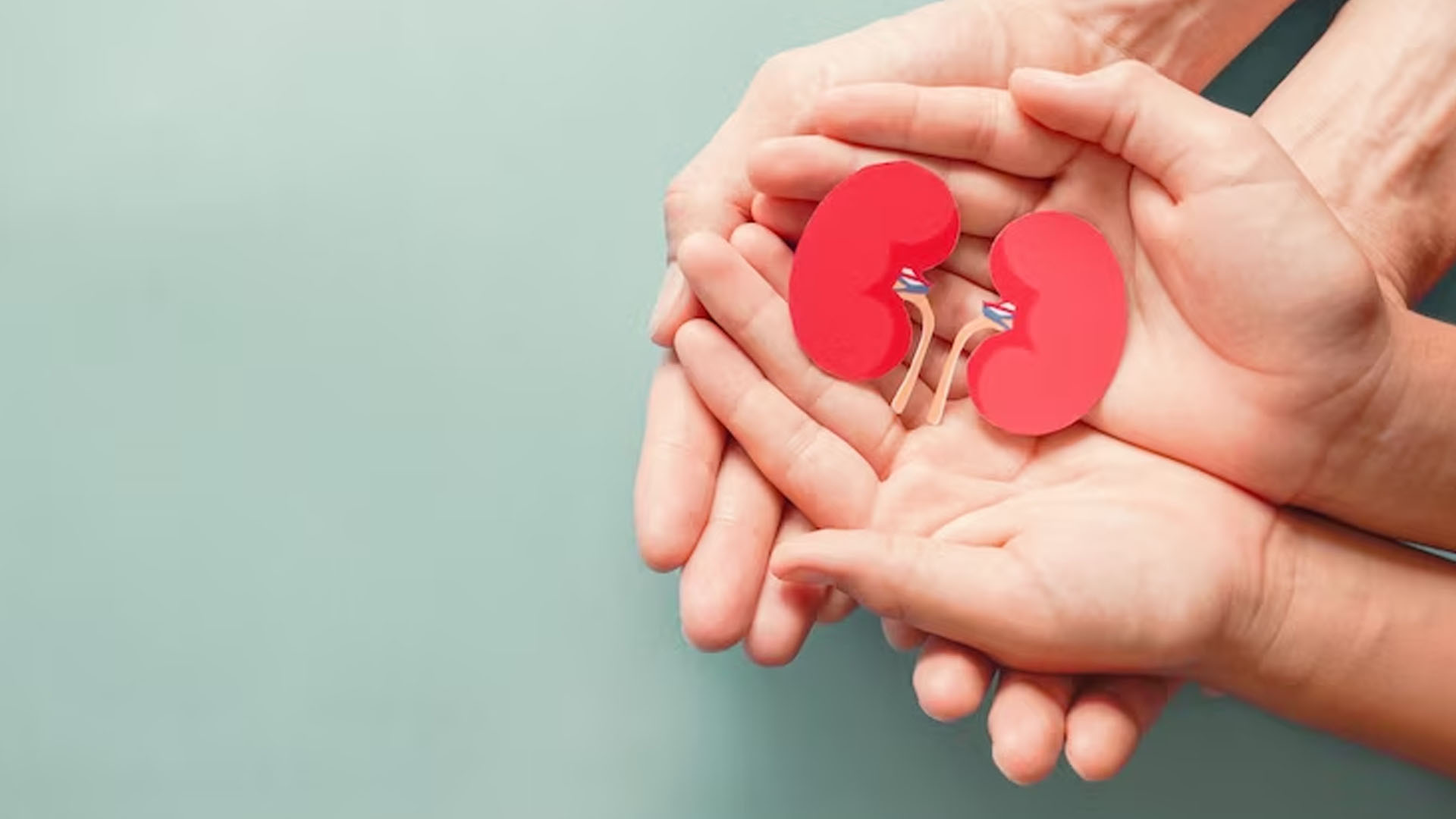 What Are The Symptoms of Kidney Damage?