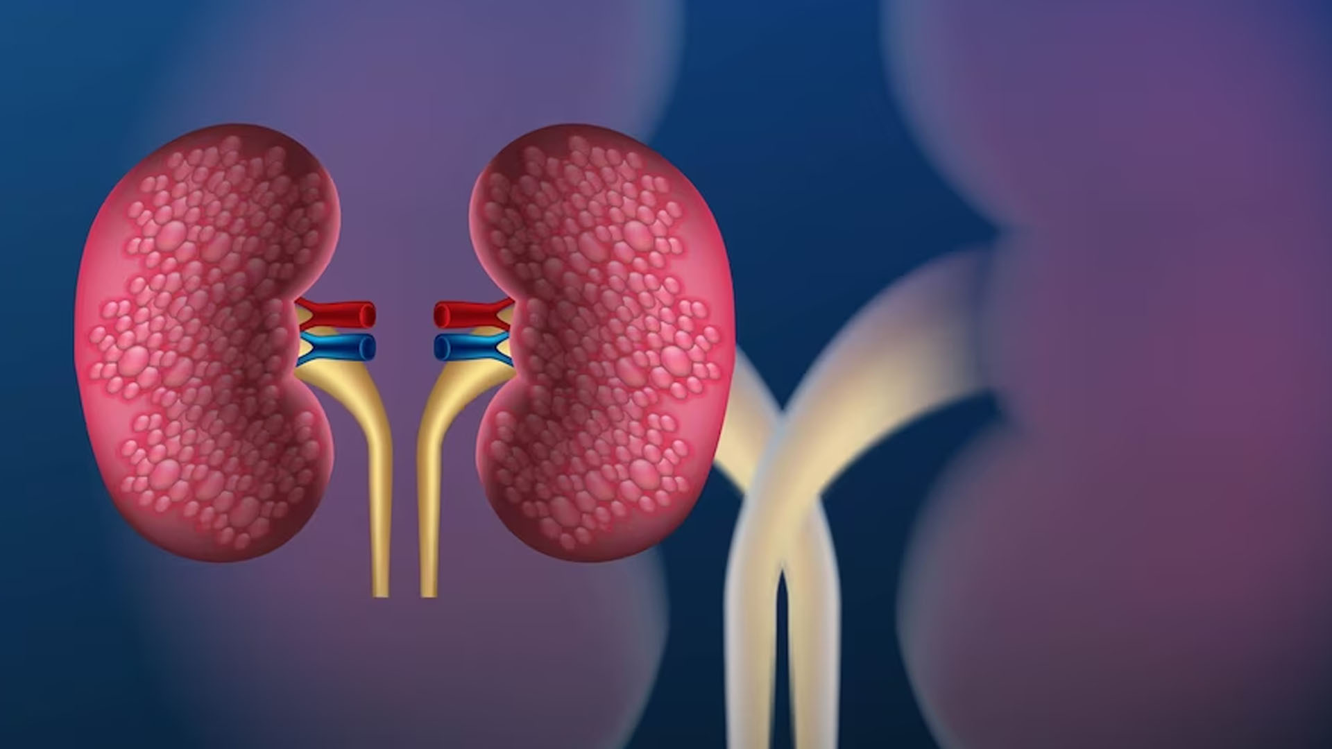 What are the Symptoms of Nephrology?