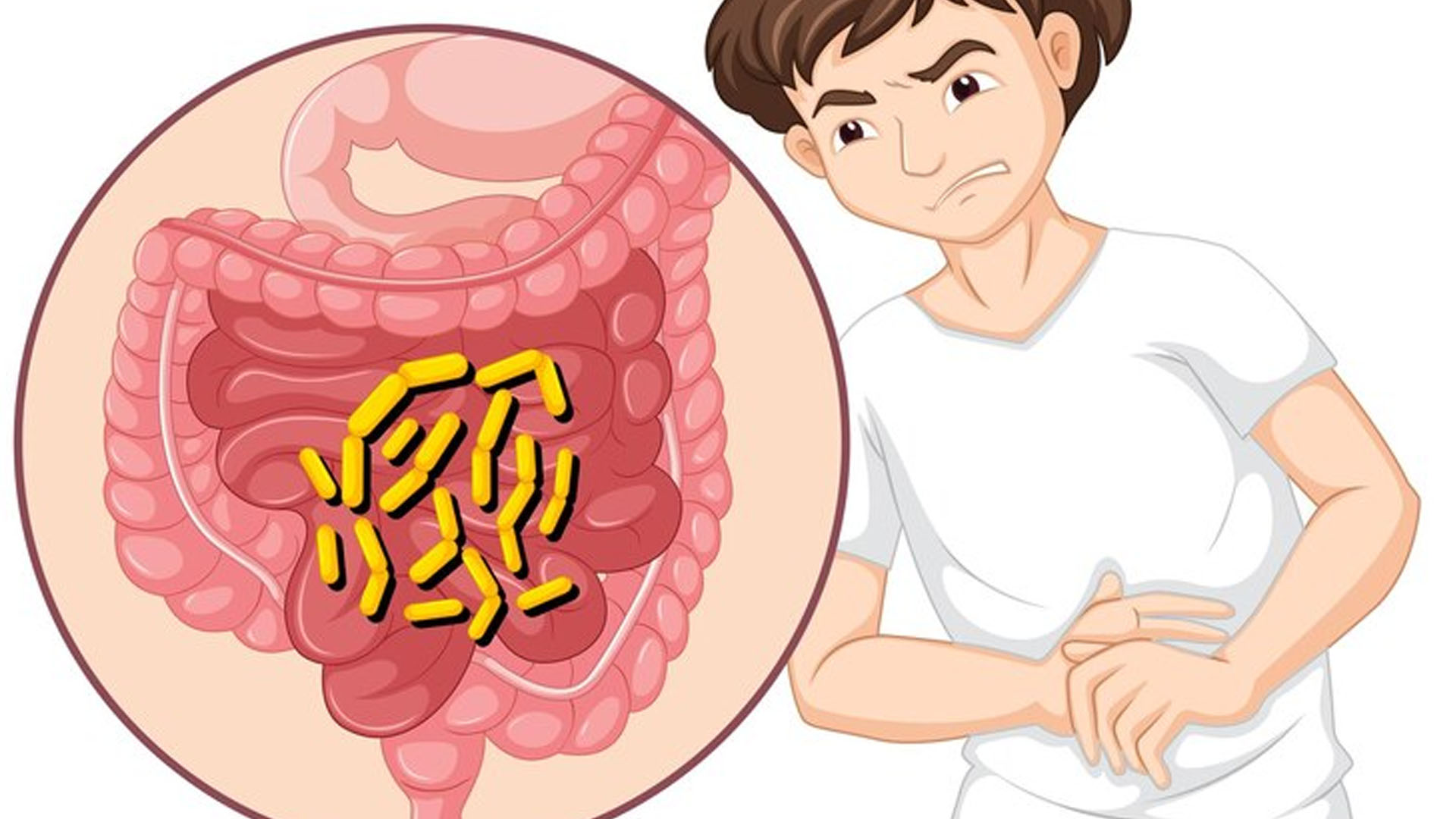 What are the Symptoms of Small Intestine Problems?