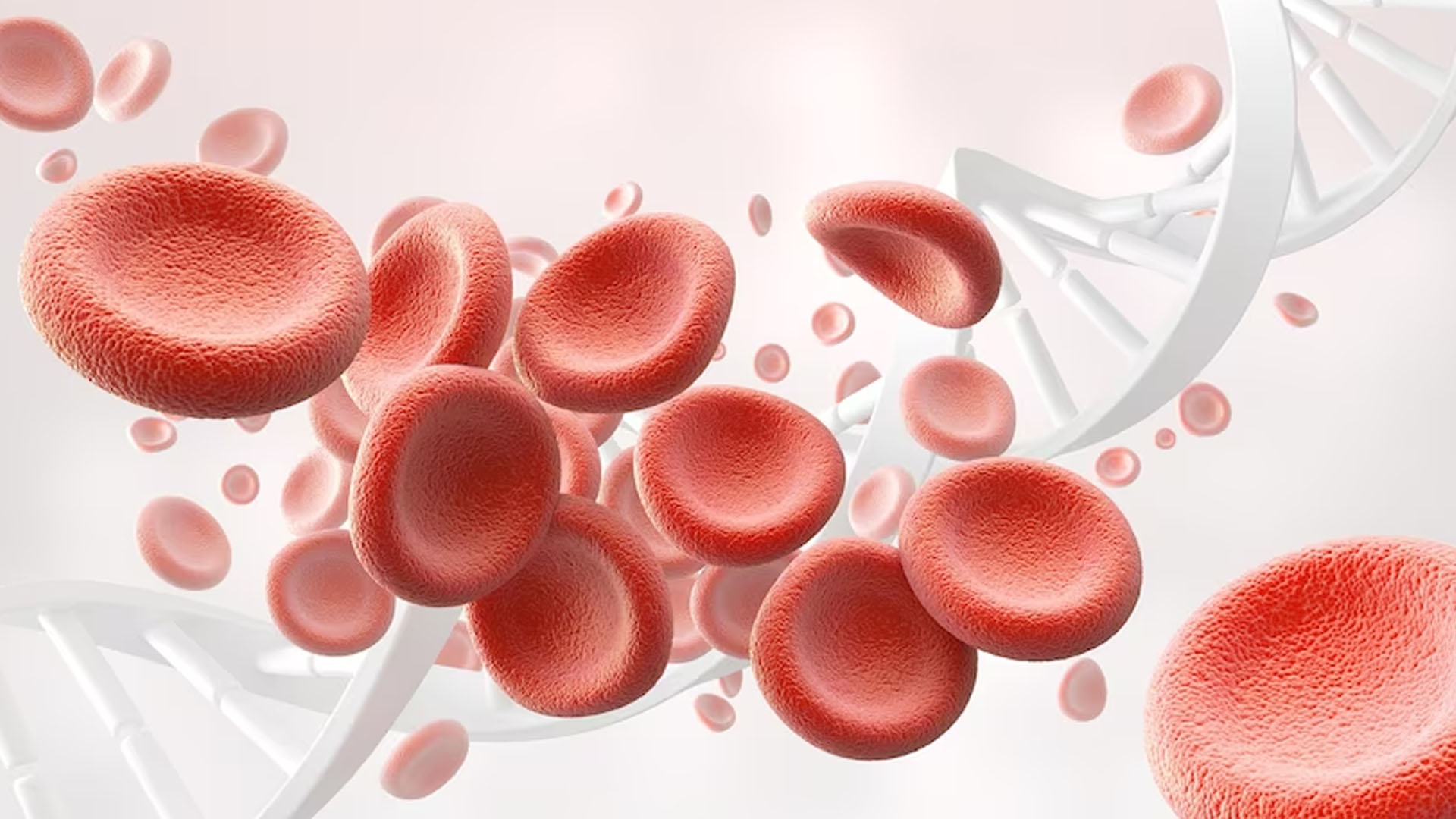 What are the Symptoms of Thalassemia?