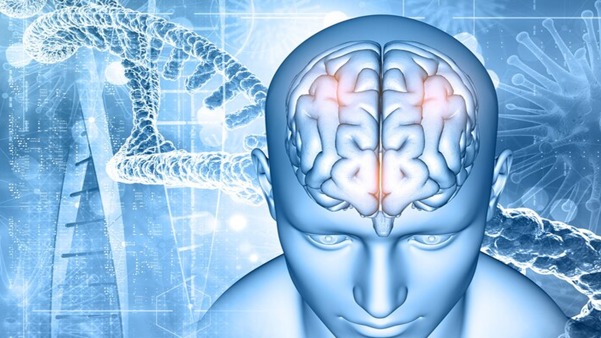What are the Symptoms of Adrenergic?