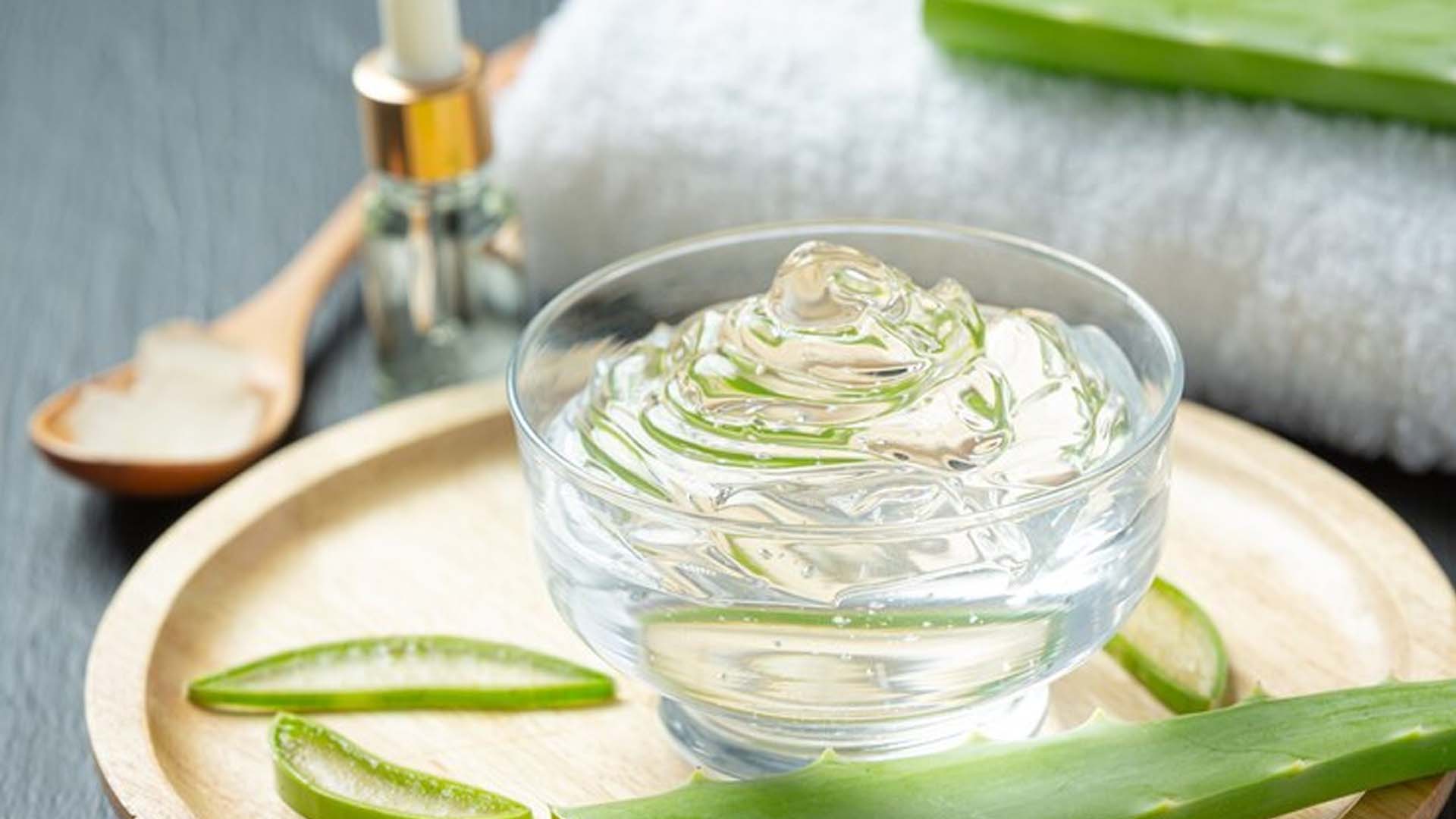 Aloe Vera