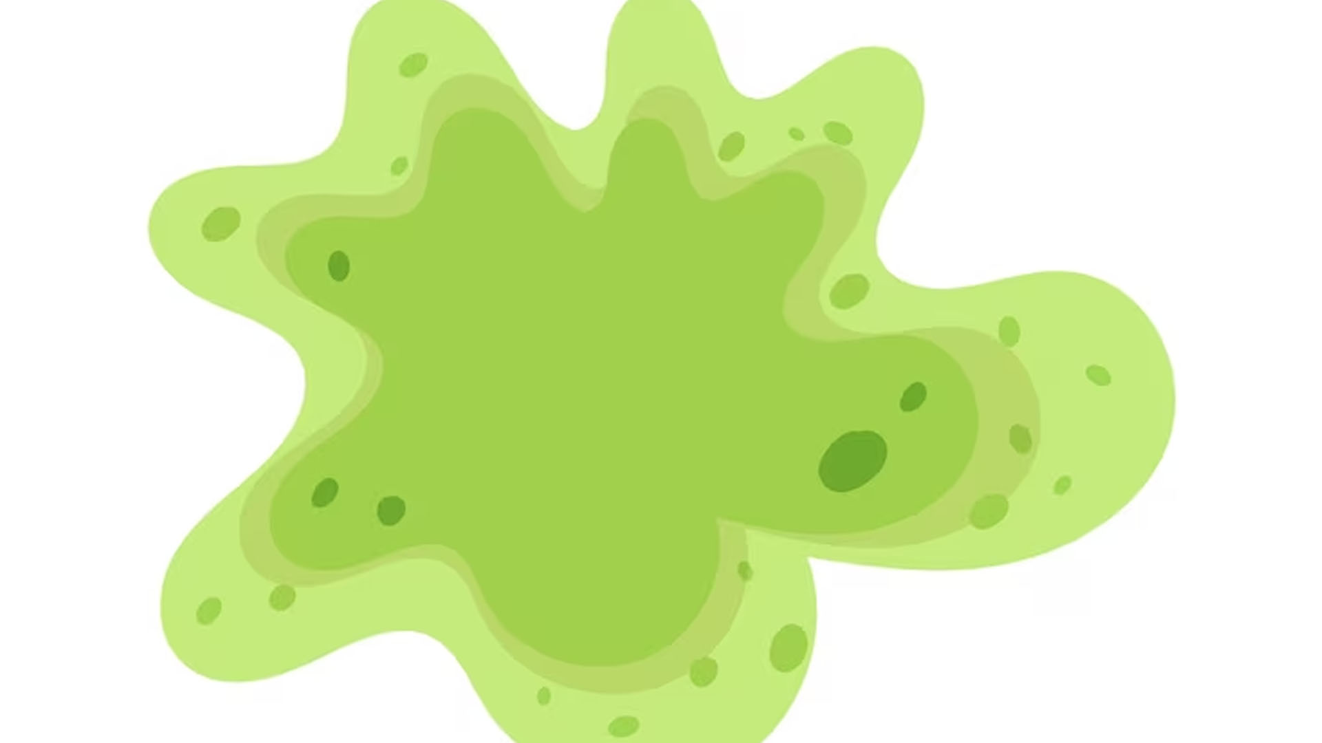 What are the Symptoms of Amoeba?
