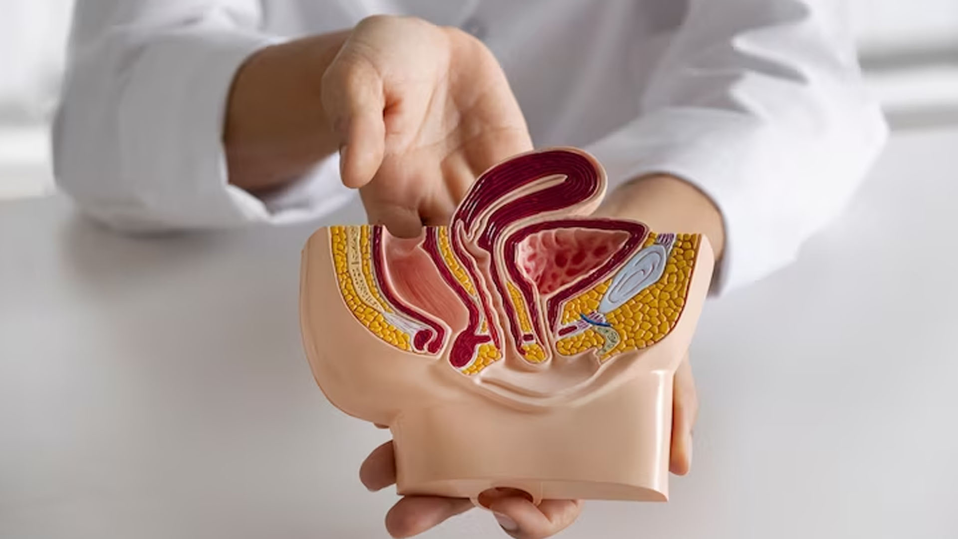 What are the Symptoms of Bladder Cancer in Humans?