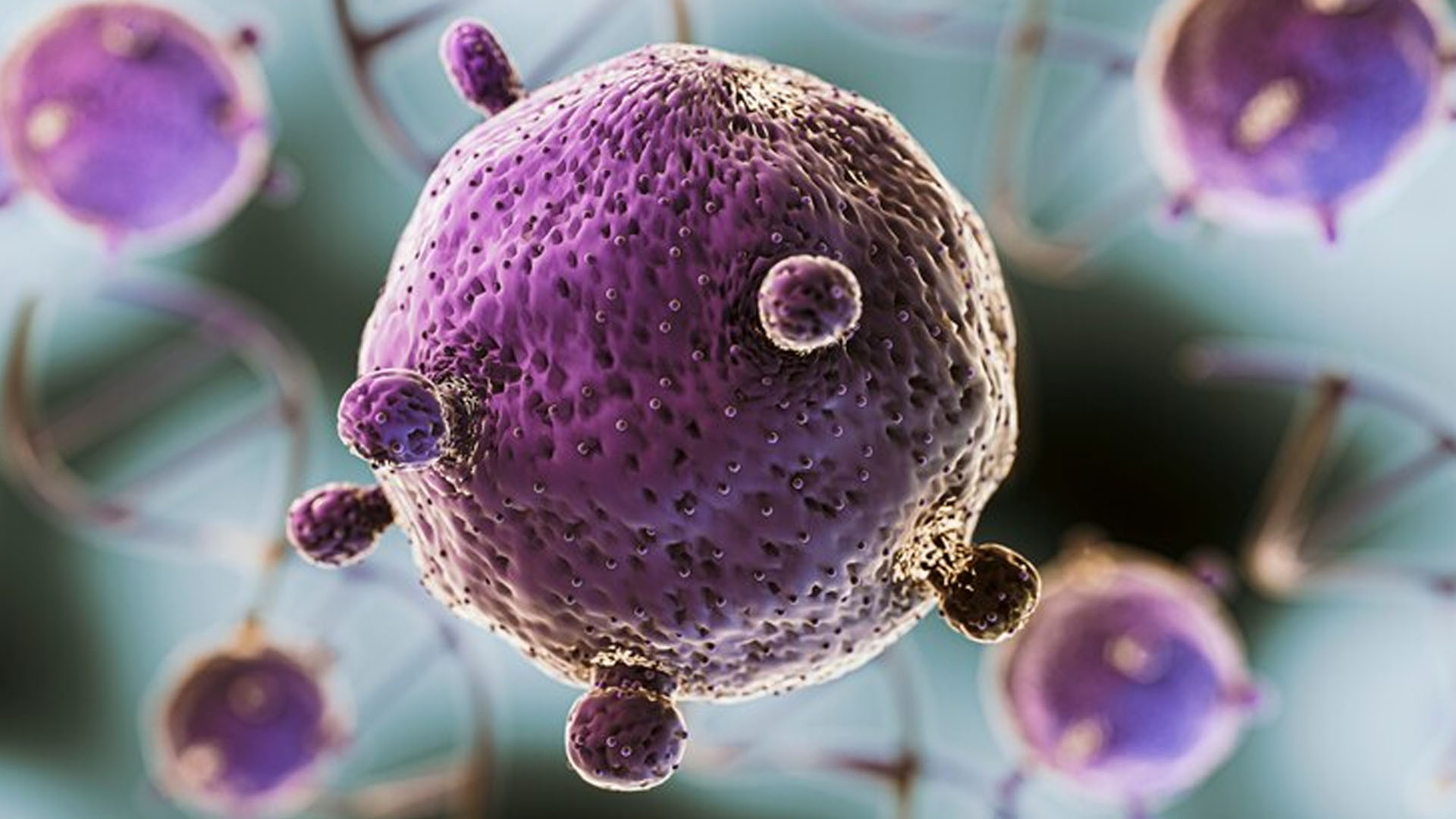 What are the Symptoms of Candida Auris?