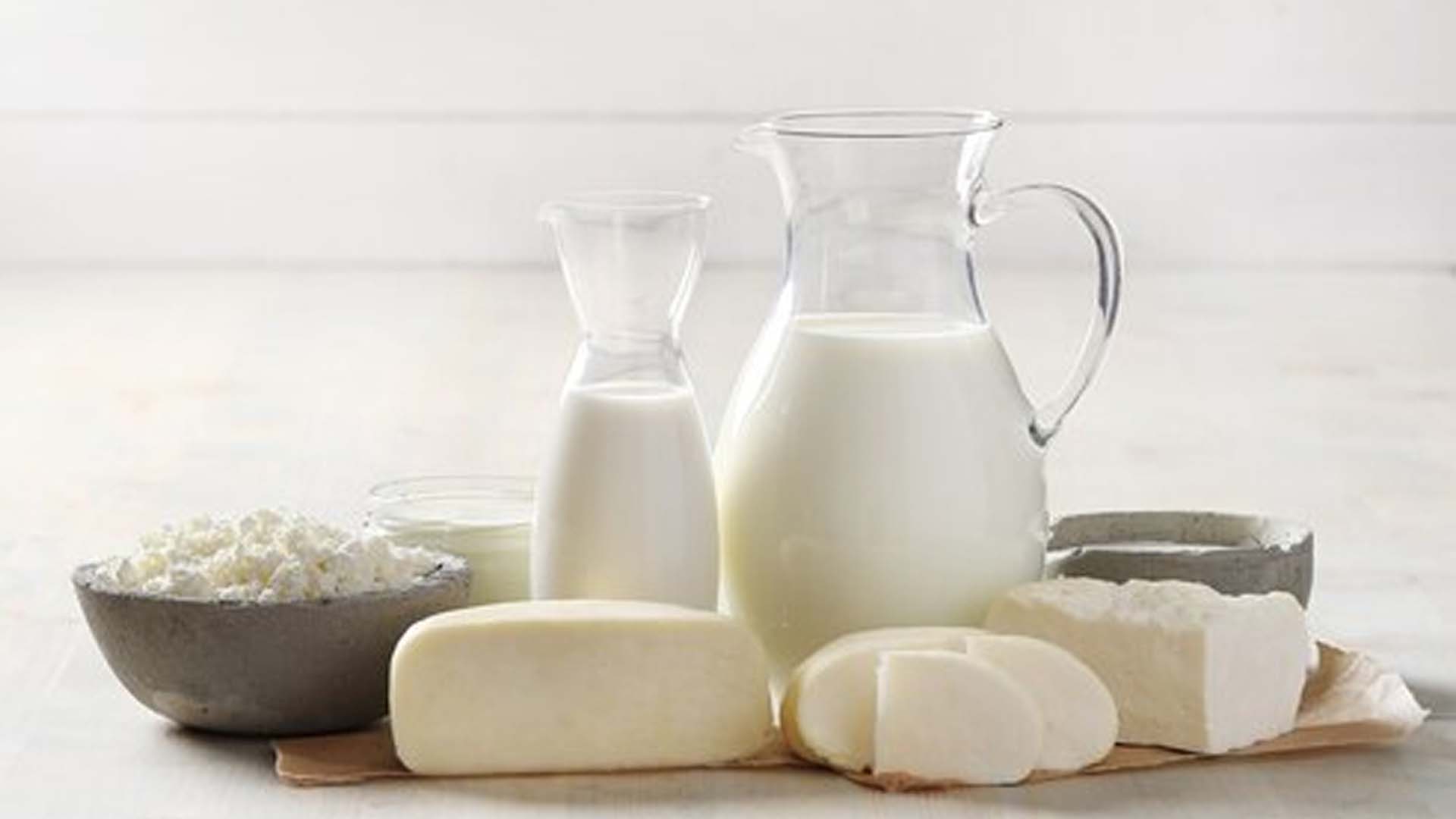 Dairy or Milk Products