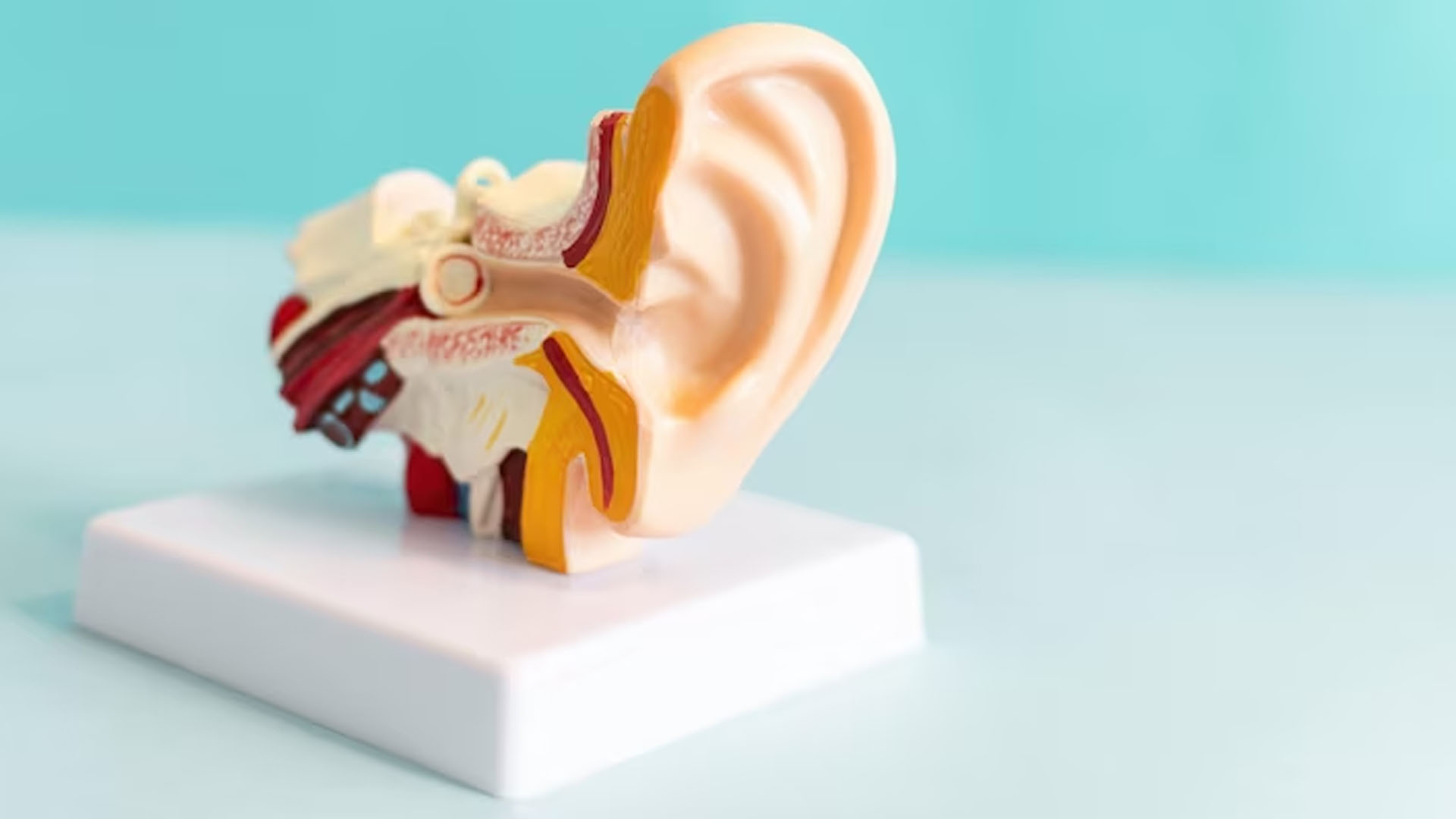 What are the Symptoms of a Damaged Vocal Cord?