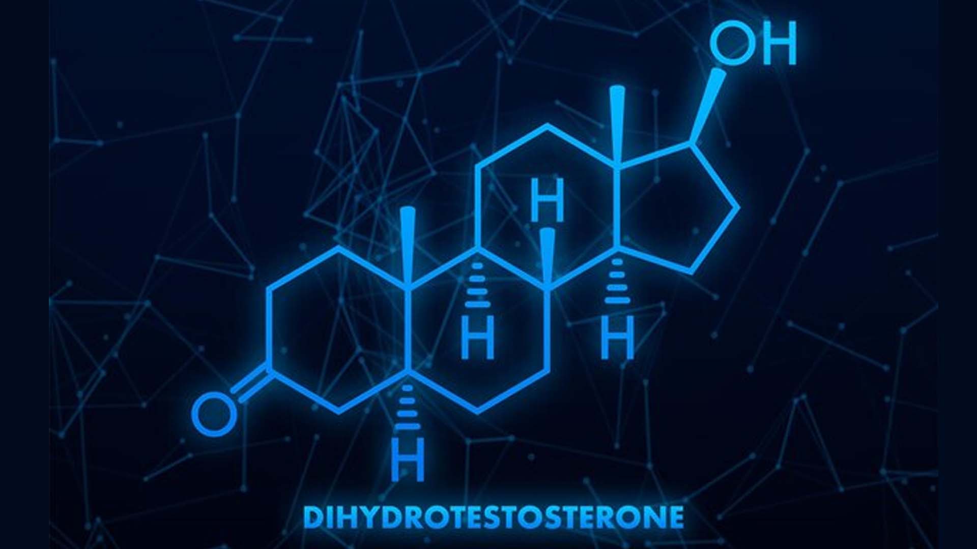dihydrotestosterone (DHT)