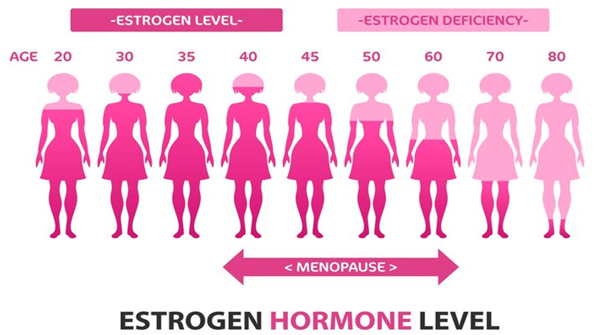 What are the Symptoms of a Lack of Estrogen?